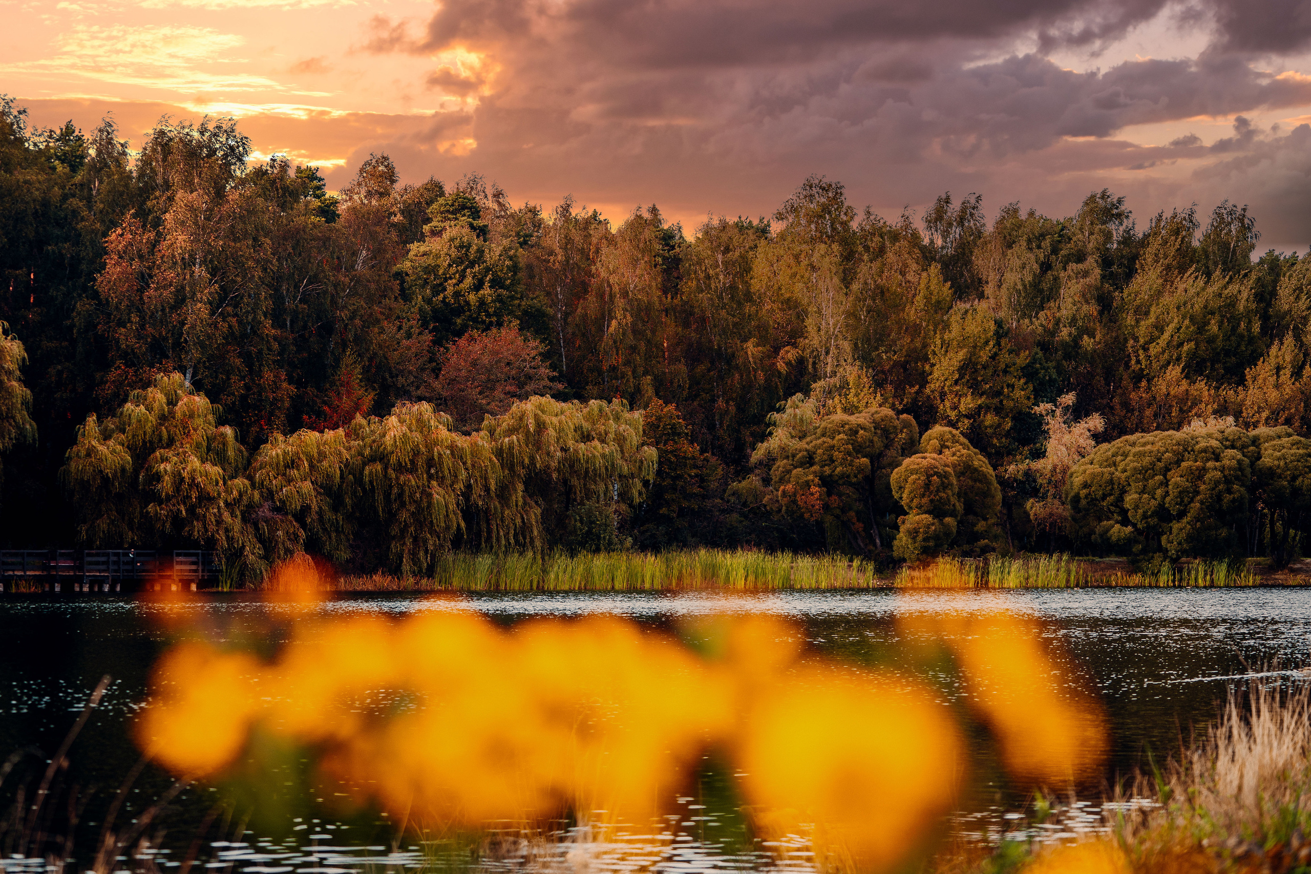 Aquatoria. @tomrus: Рустам Шагиморданов — фотограф
