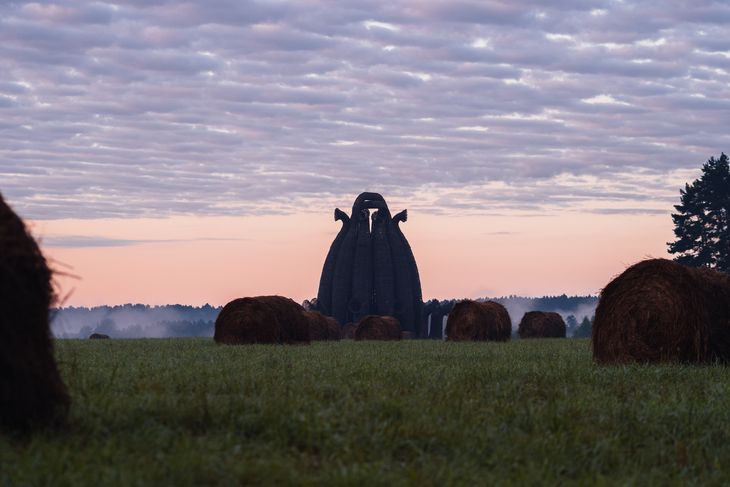 Архстояние 2021, Никола-Ленивец. @tomrus: Рустам Шагиморданов — фотограф