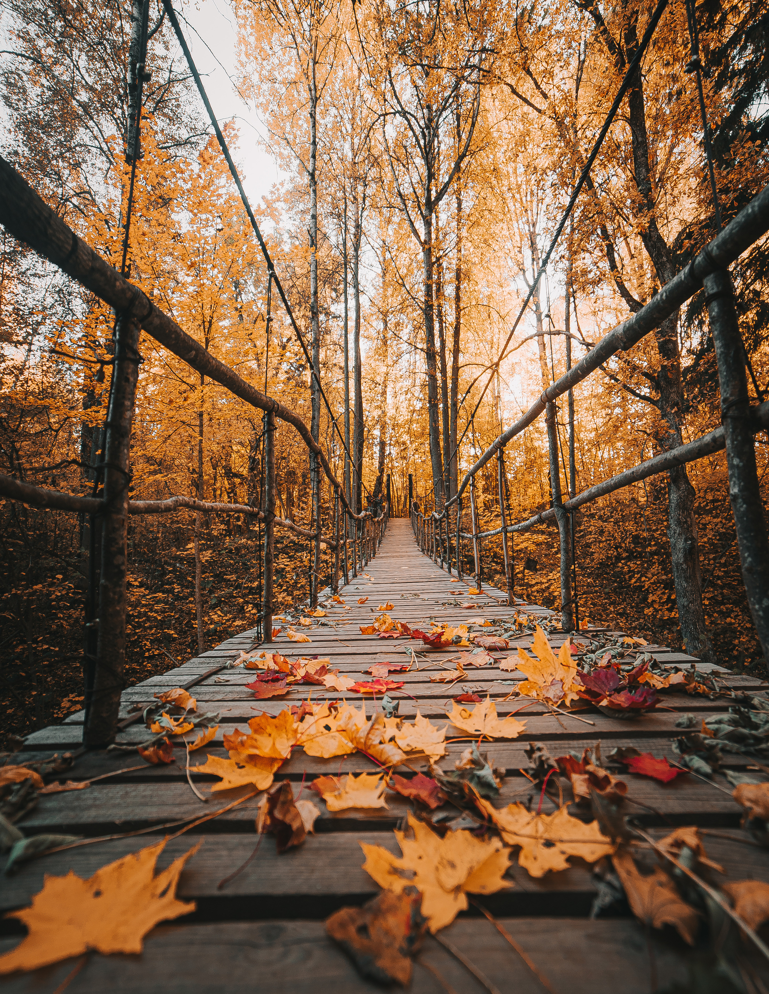Landscape / Пейзаж. @tomrus: Рустам Шагиморданов — фотограф