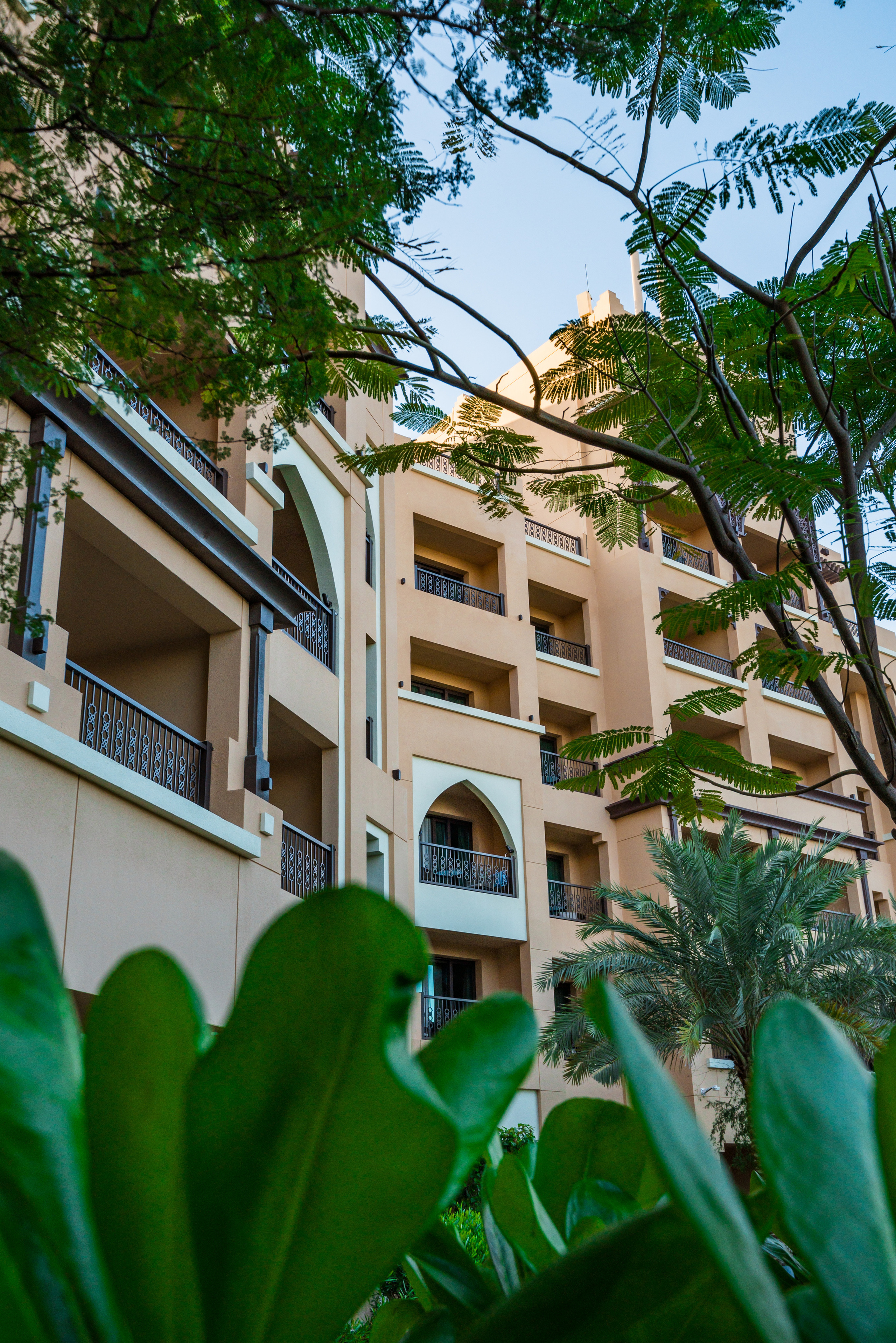 Saadiyat Rotana Resort & Villas. @tomrus: Рустам Шагиморданов — фотограф