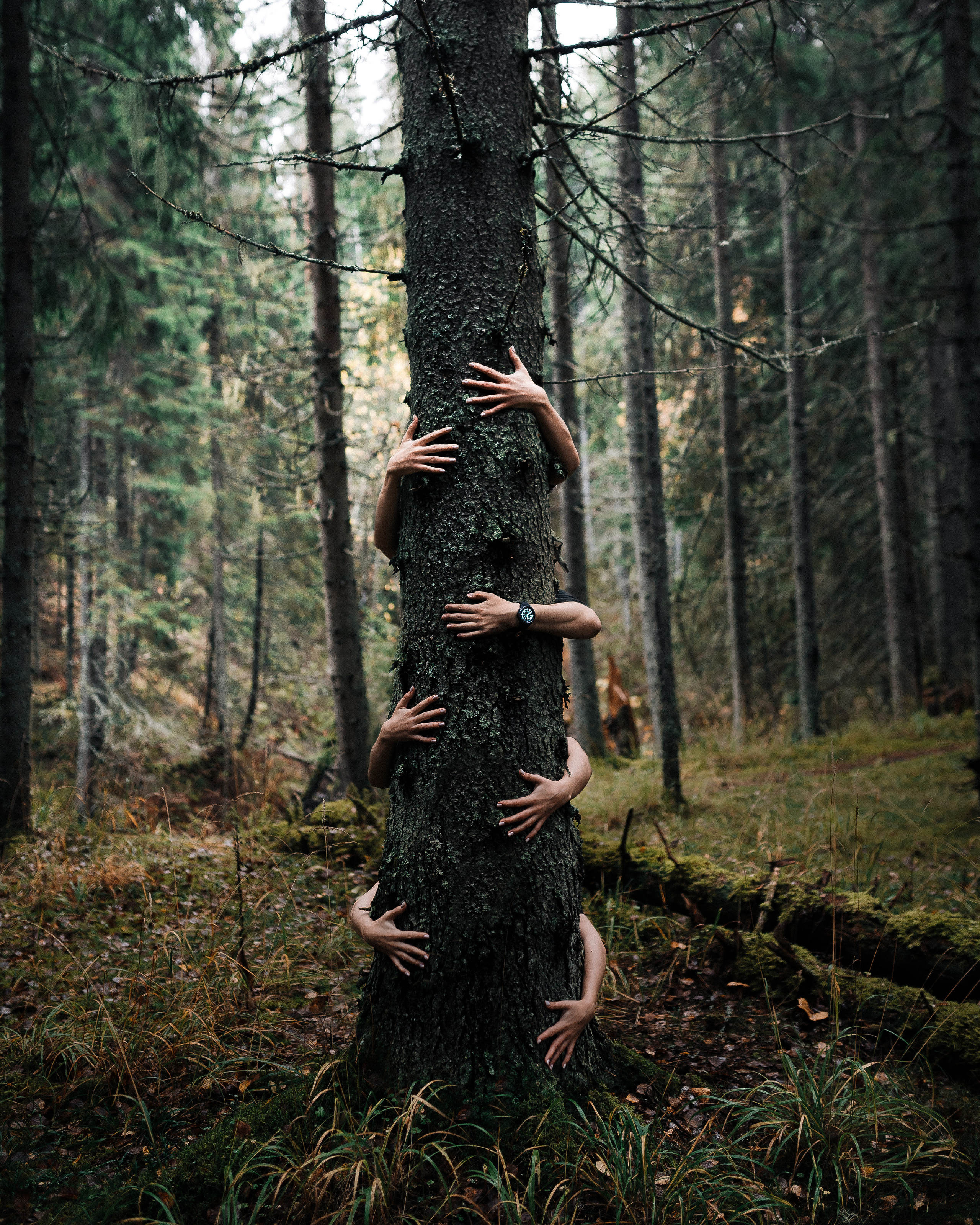 Art photography / Художественная фотография. @tomrus: Рустам Шагиморданов — фотограф