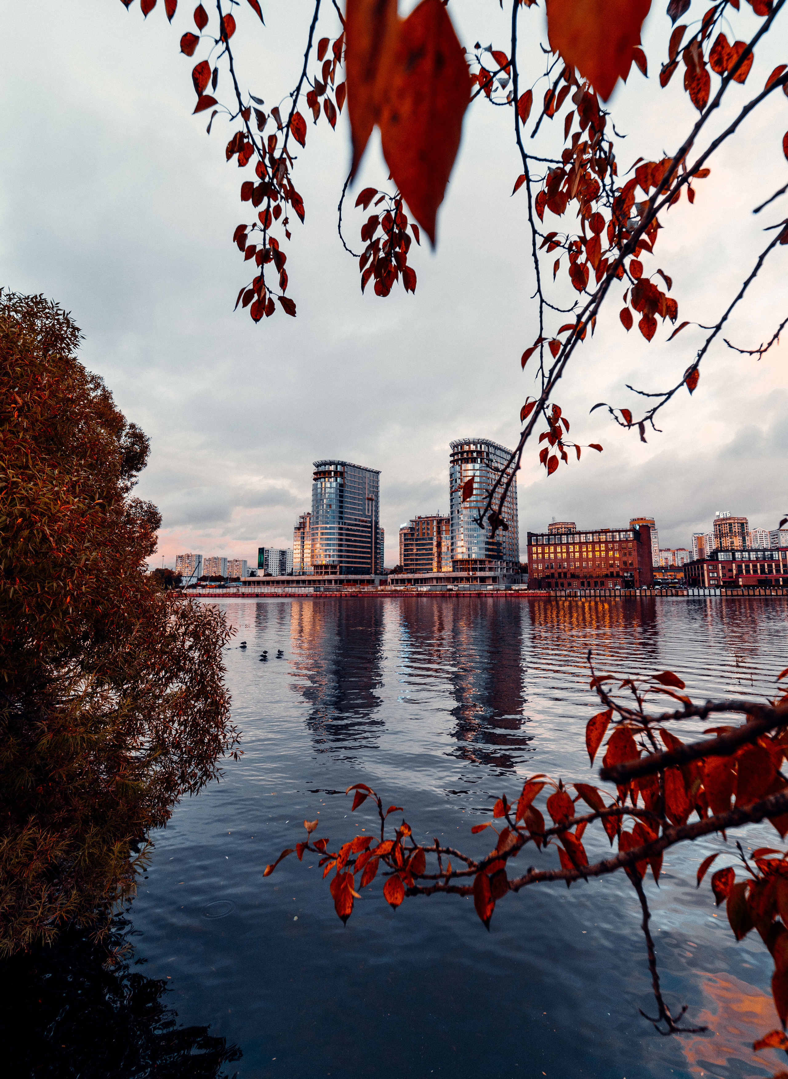 Aquatoria. @tomrus: Рустам Шагиморданов — фотограф