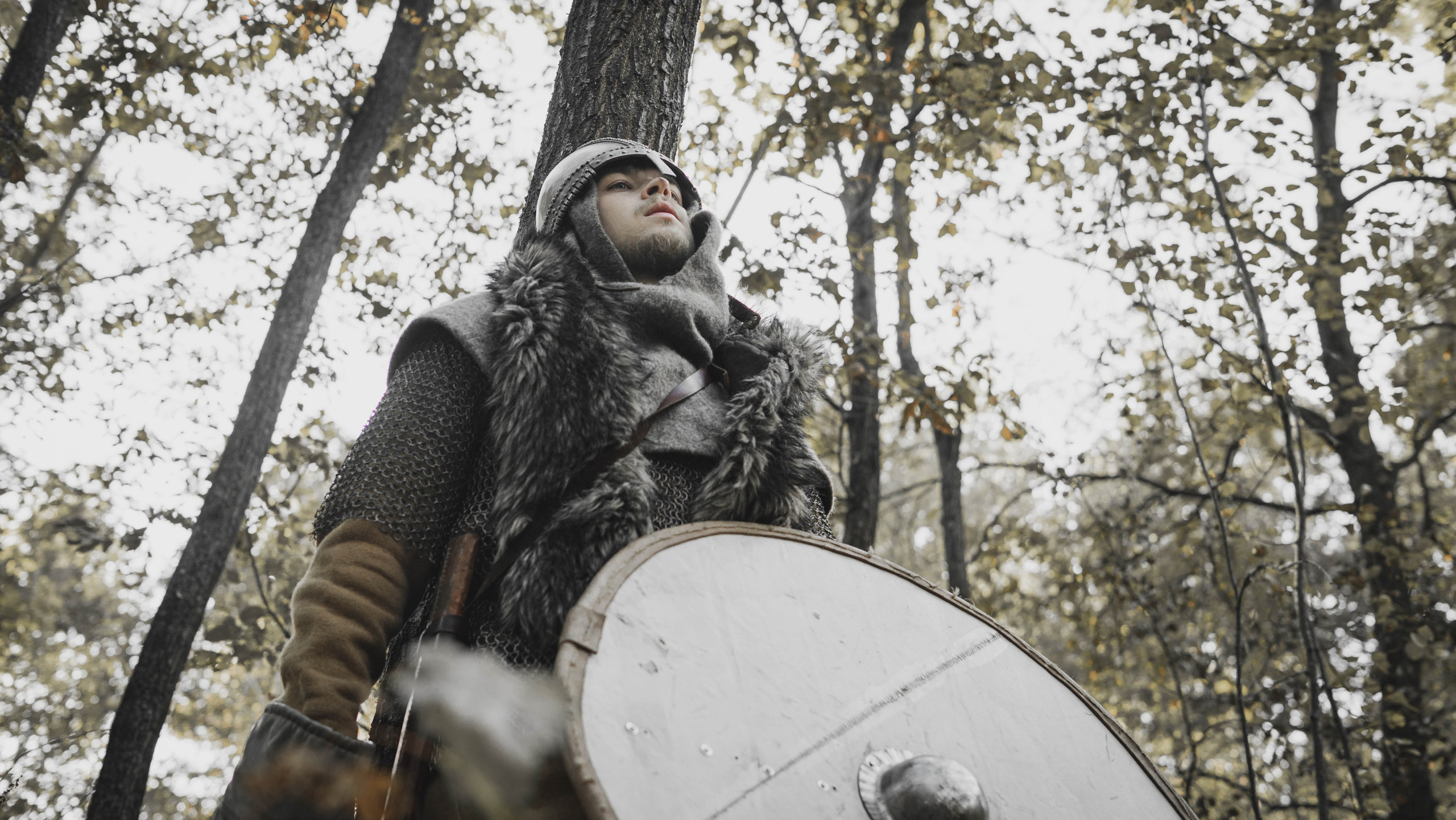 Викинг. Ab extra