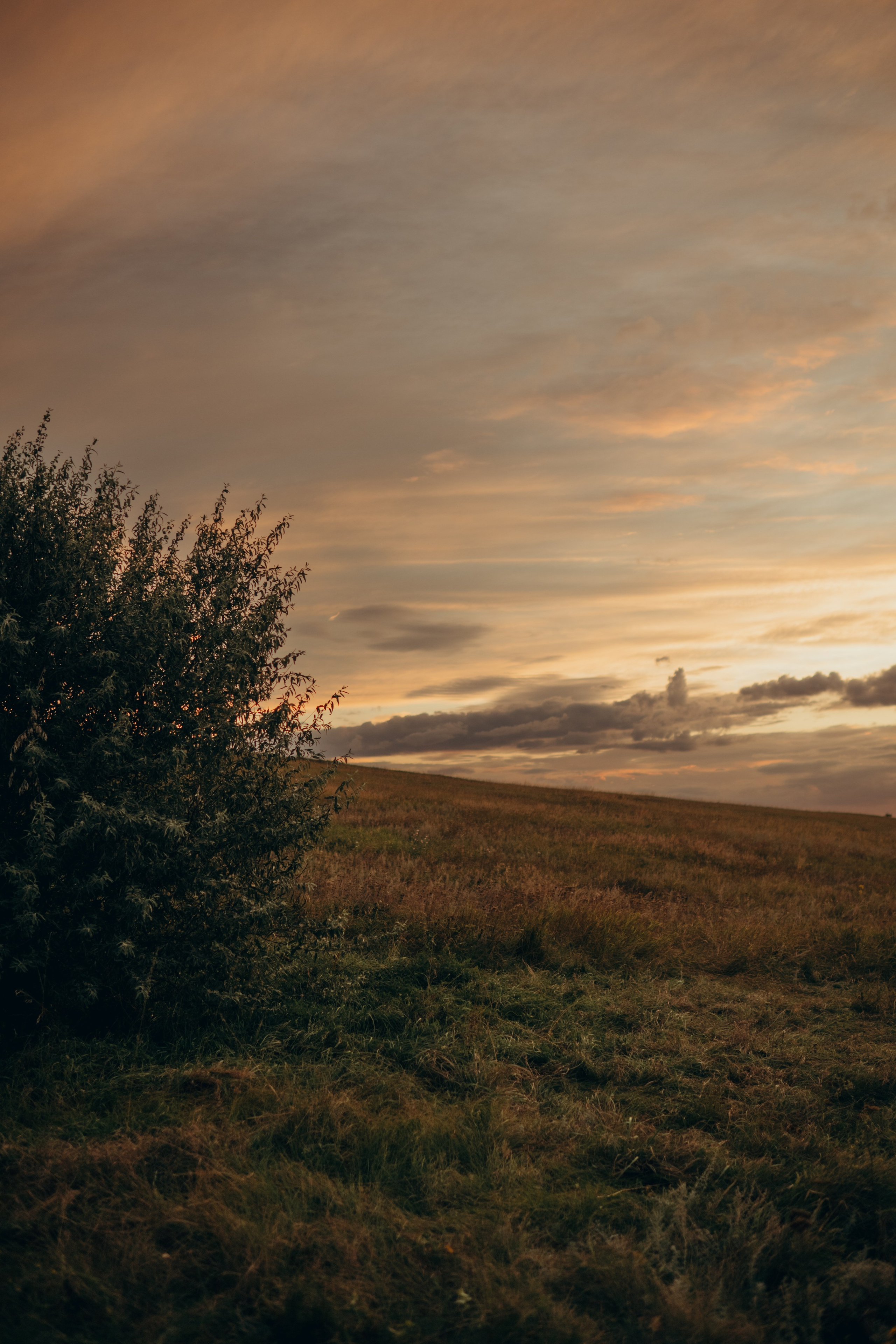 Даша Даня Ксюша Илья Саша и Ева. Свадебный и семейный фотограф в Самаре Головань Наталья