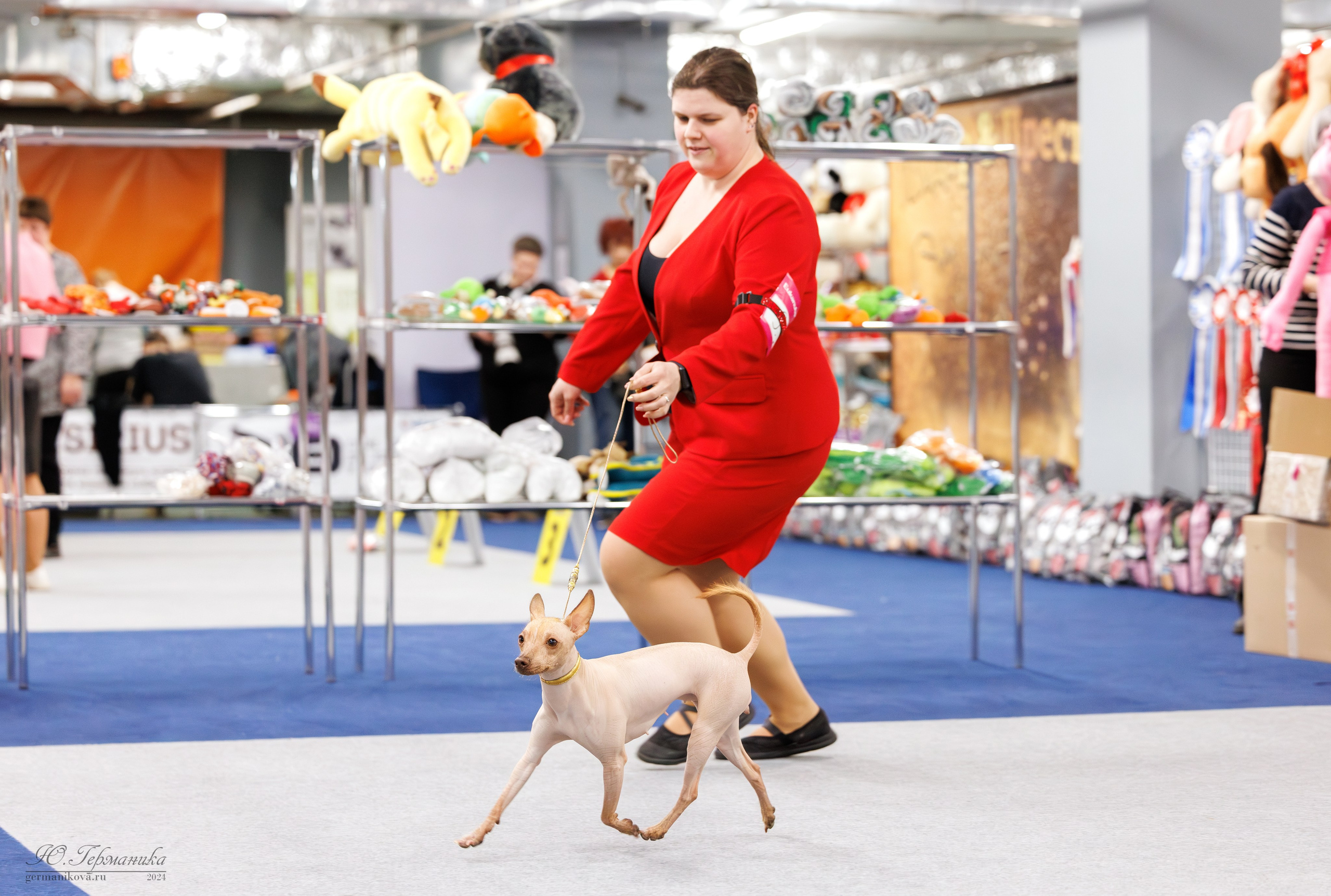 Сфера и Крокус 8,9,16 и 30.03.2025. Фотограф-анималист Юлия Германика