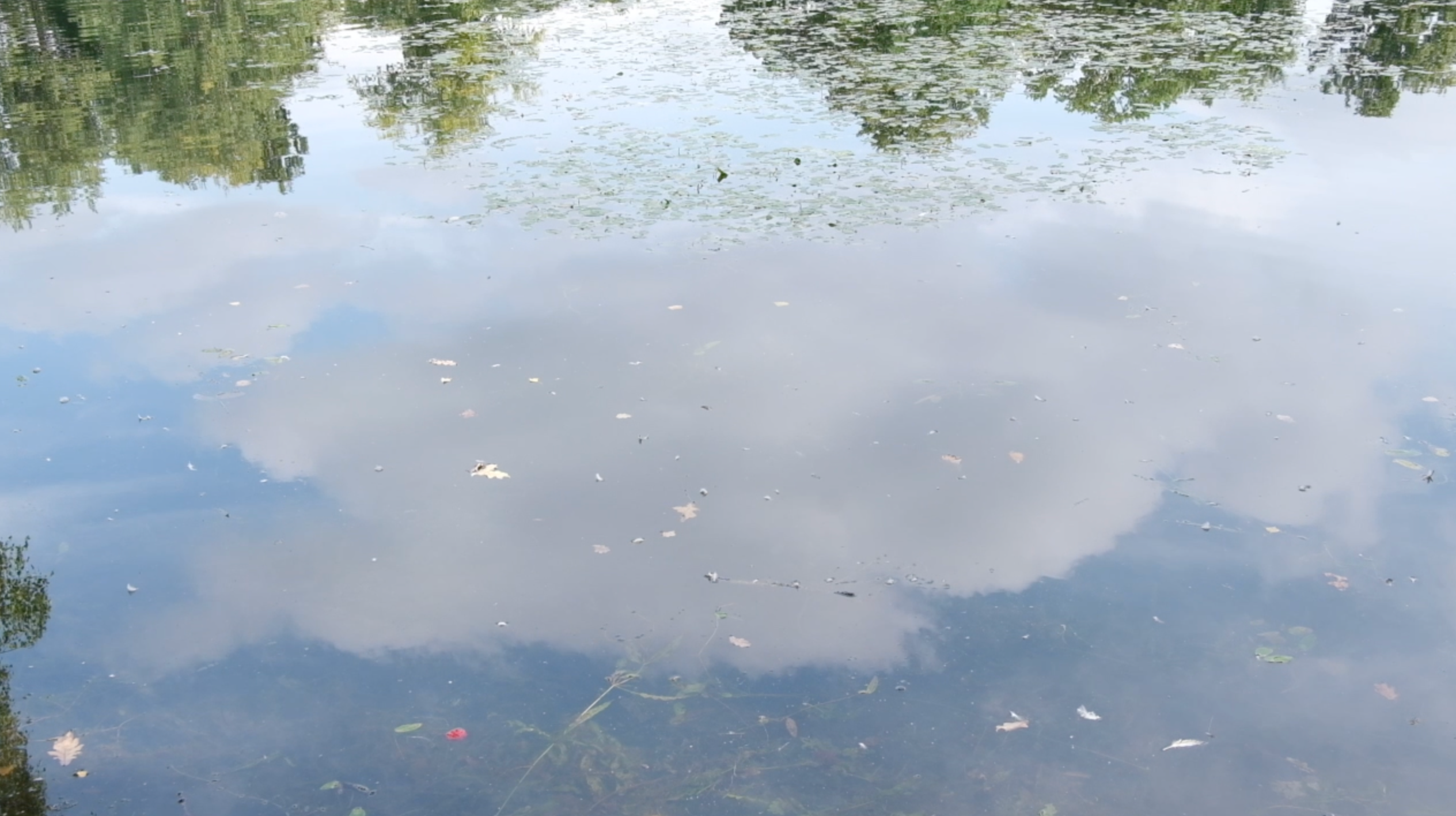 Не плач (ь) [мультимедийный проект]. Аня белка — художница и фотограф