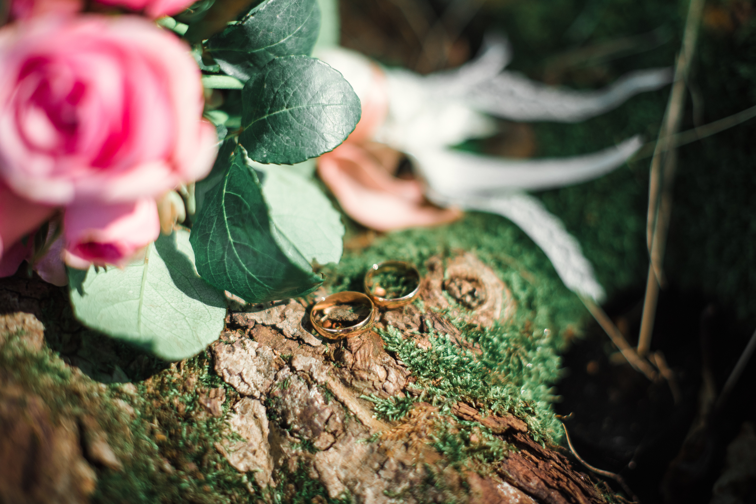 Wedding and family photographer in St. Petersburg Nastasya Lebedeva