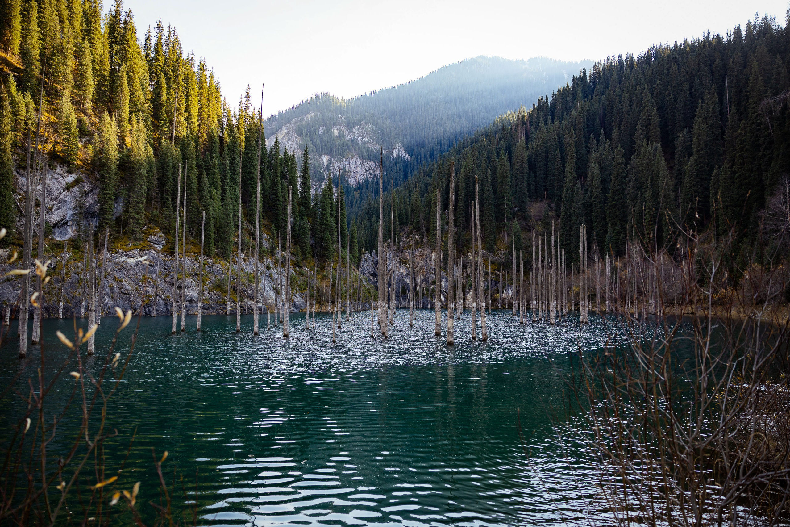 Казахстан (осень 2024). Фотограф Виноградов Константин