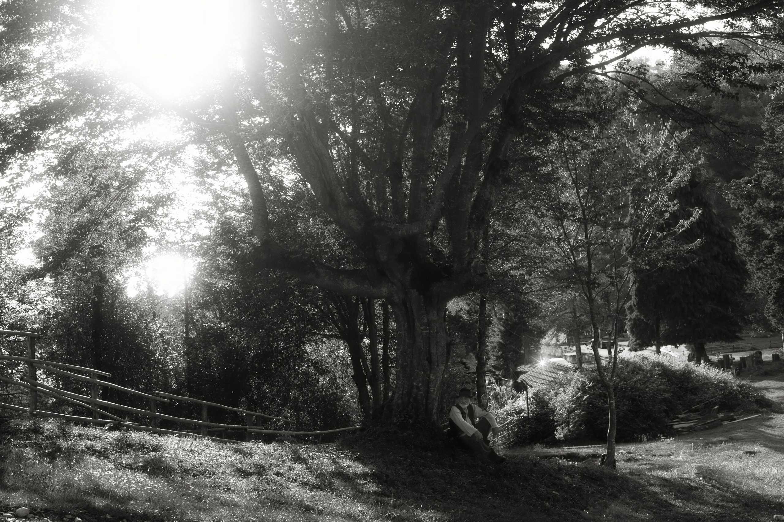 Кинематографическая съемка. Старик и дети. Ekaterina Beridze