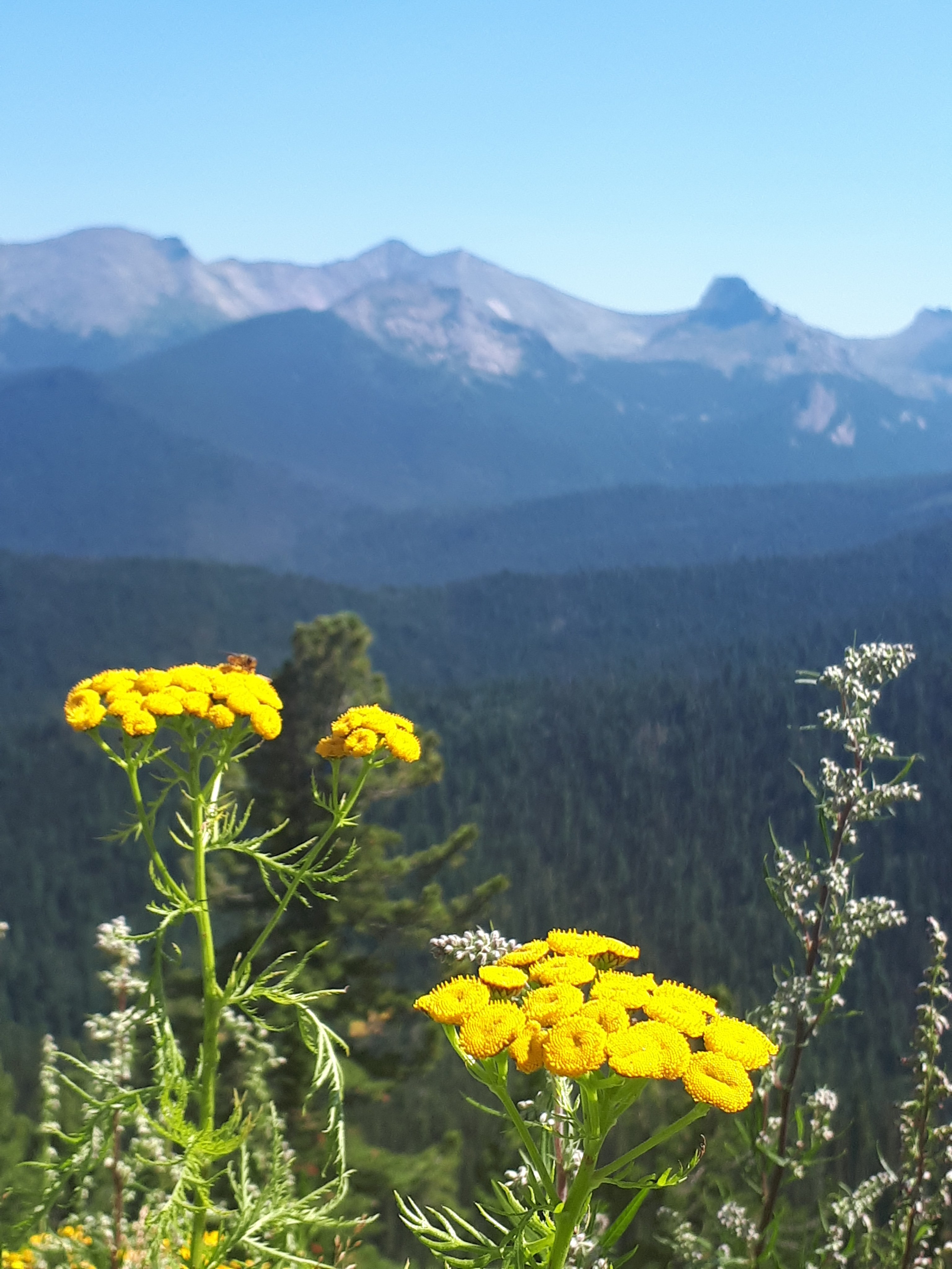 Фото на телефон. Фотошкола и фотокурсы в Абакане