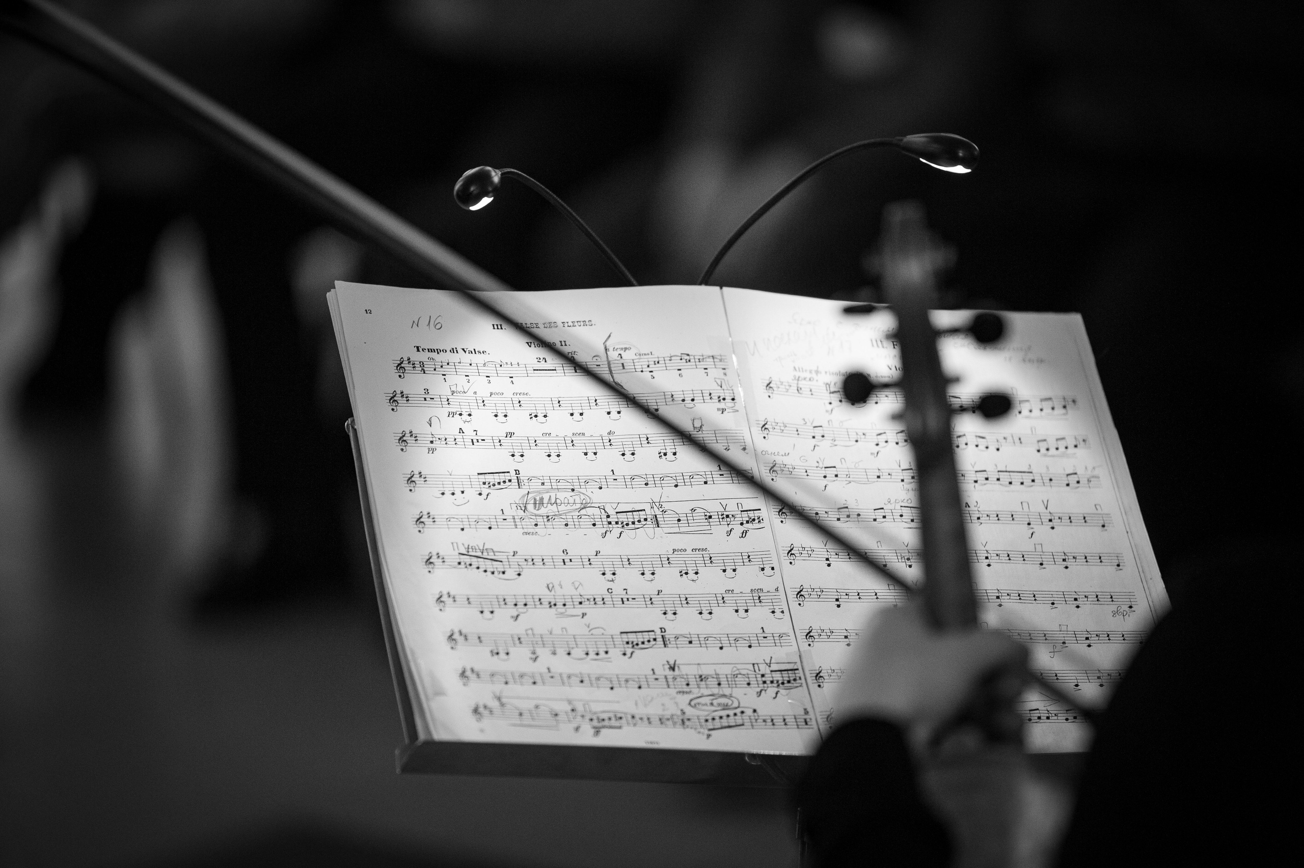 Разное. Фотограф Шариков Илья