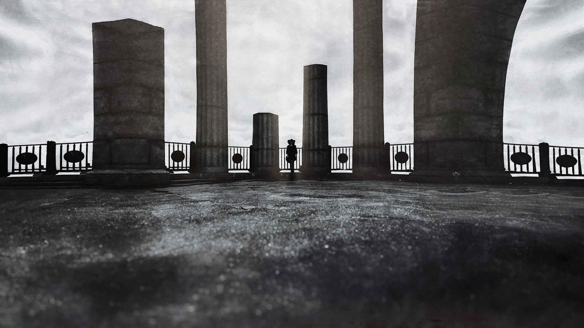 Portfolio. The Andris