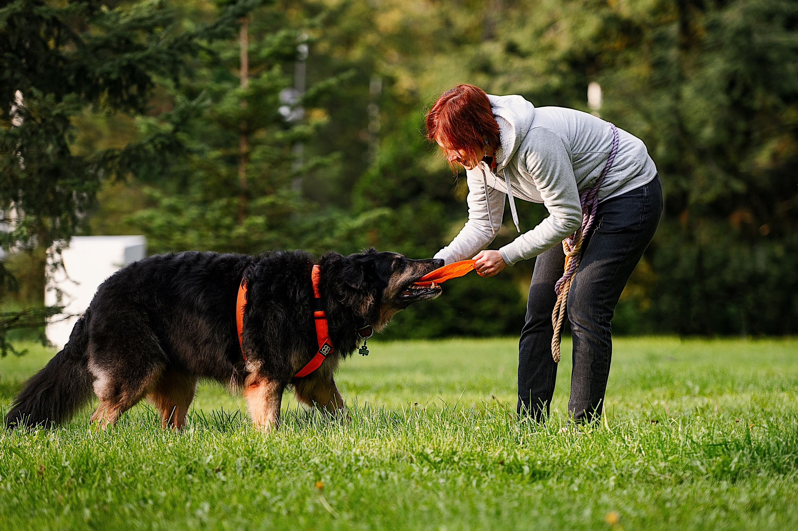 Алиса на ВДНХ. Фотограф-анималист