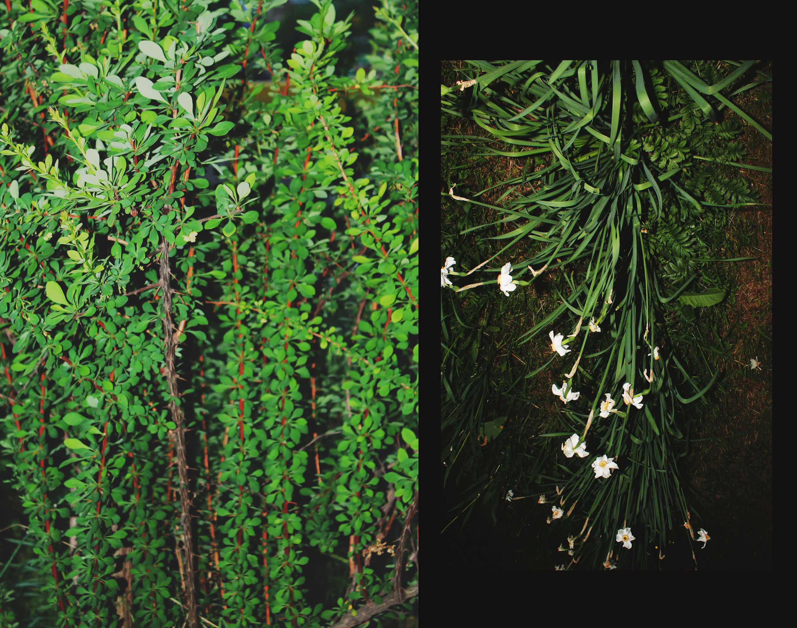 Мои первые работы. Фотограф из Москвы — DASHA NOVA | Авторская фотография в разных жанрах