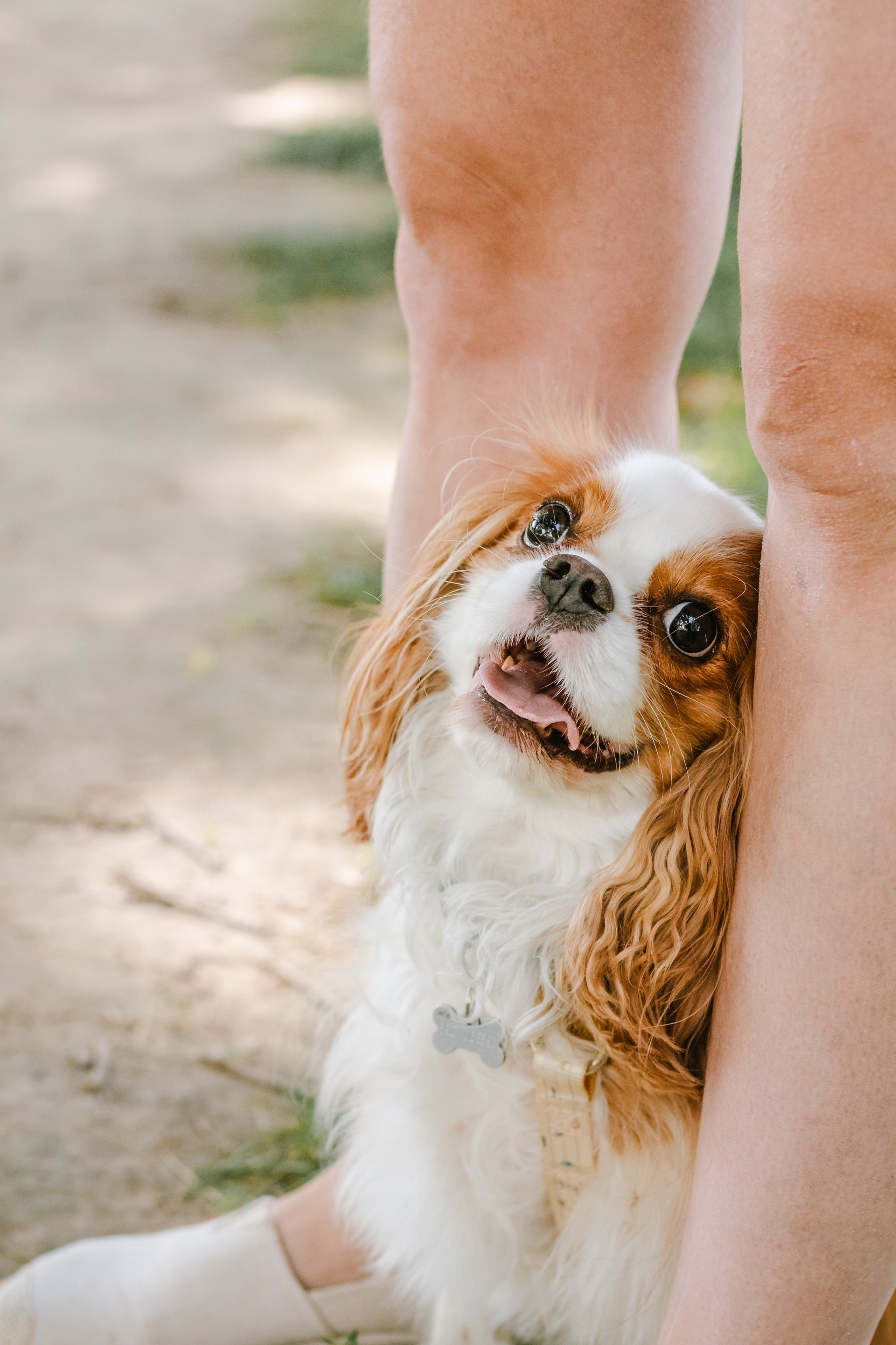 Фотопрогулка на бульваре. Фотограф-анималист Татьяна Степанова