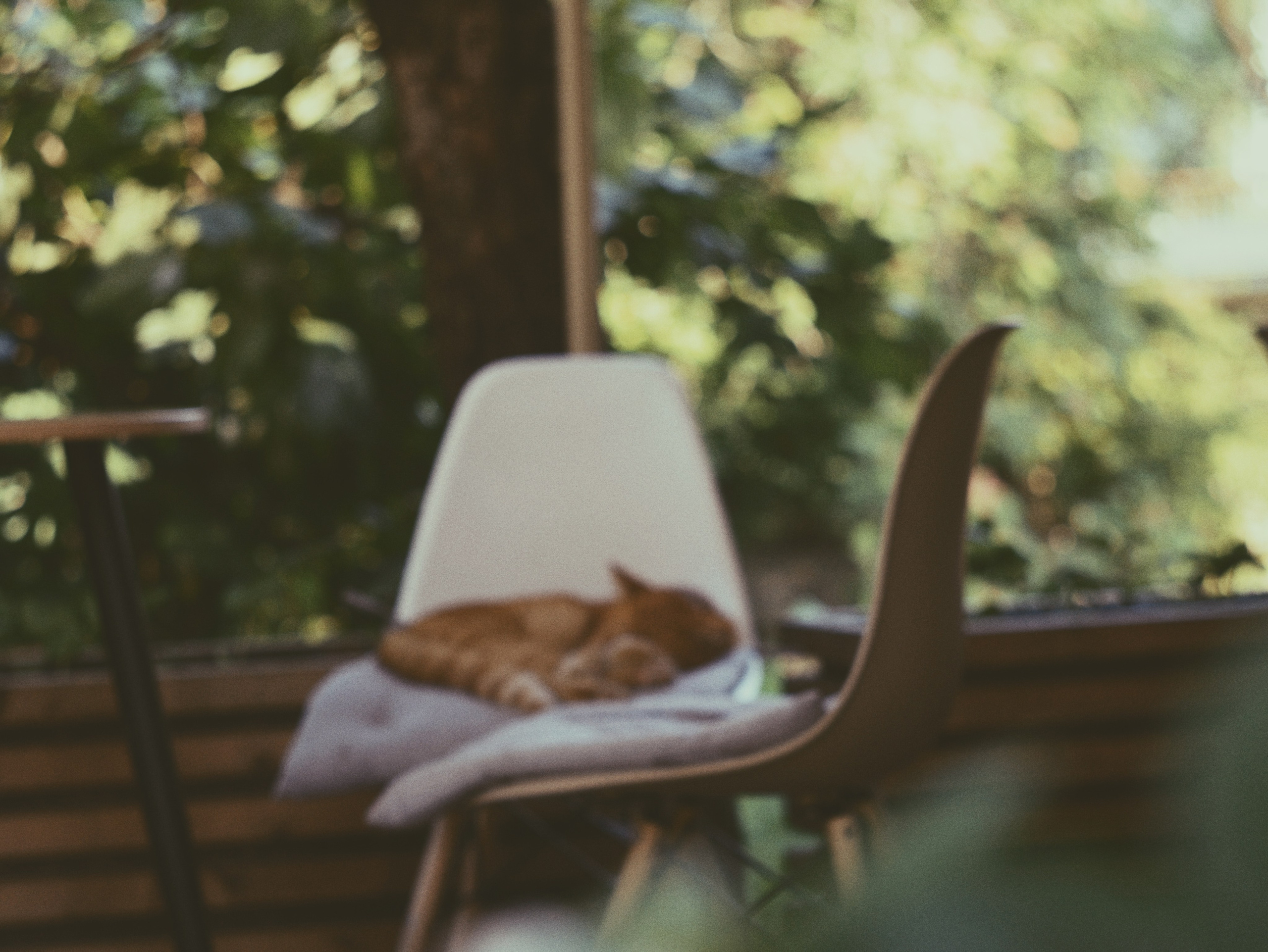 Есть. Психолог • Миронова Елена