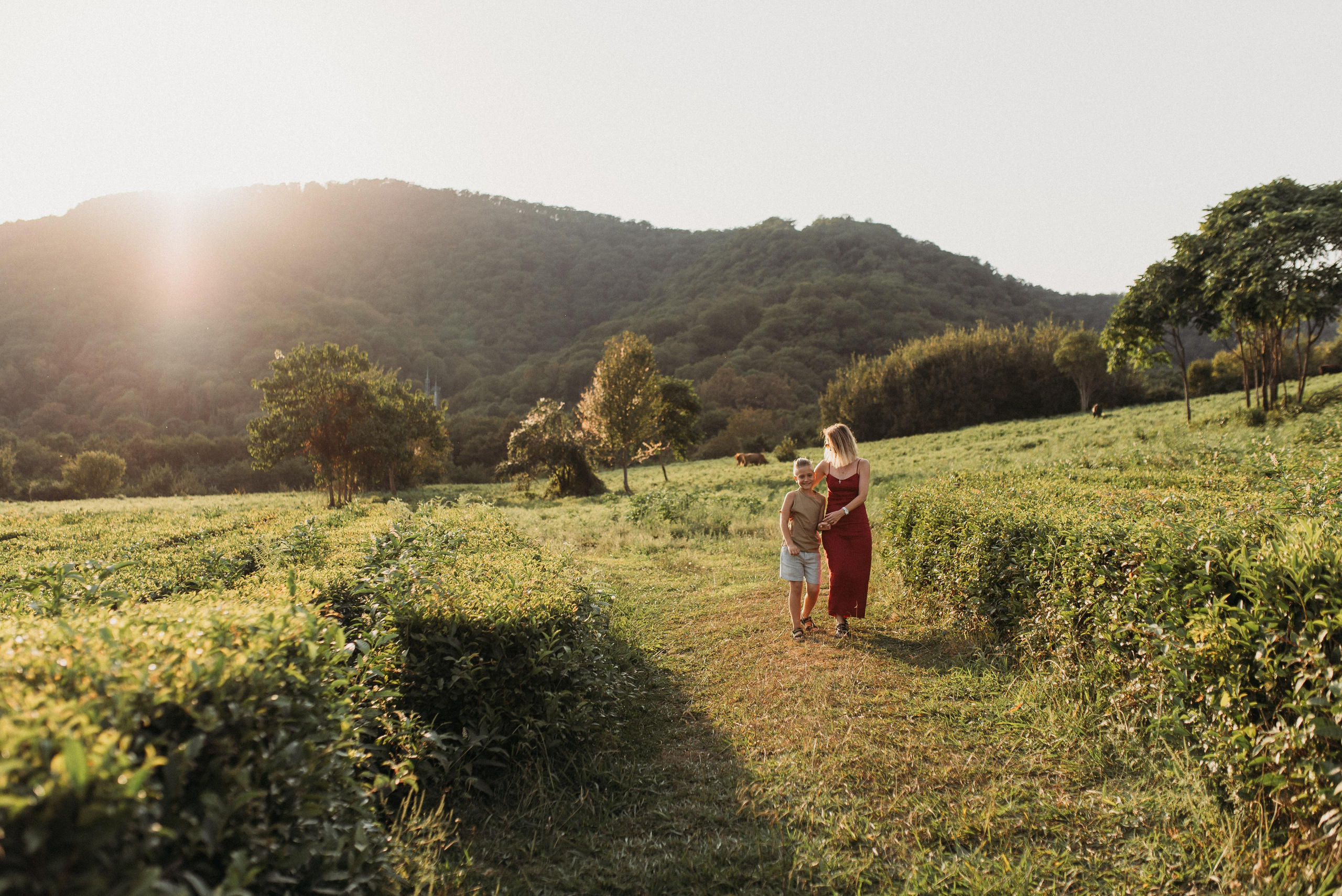 Наташа и Серёжа ❤️💚. Фотограф в Сочи — Маргарита Поганова