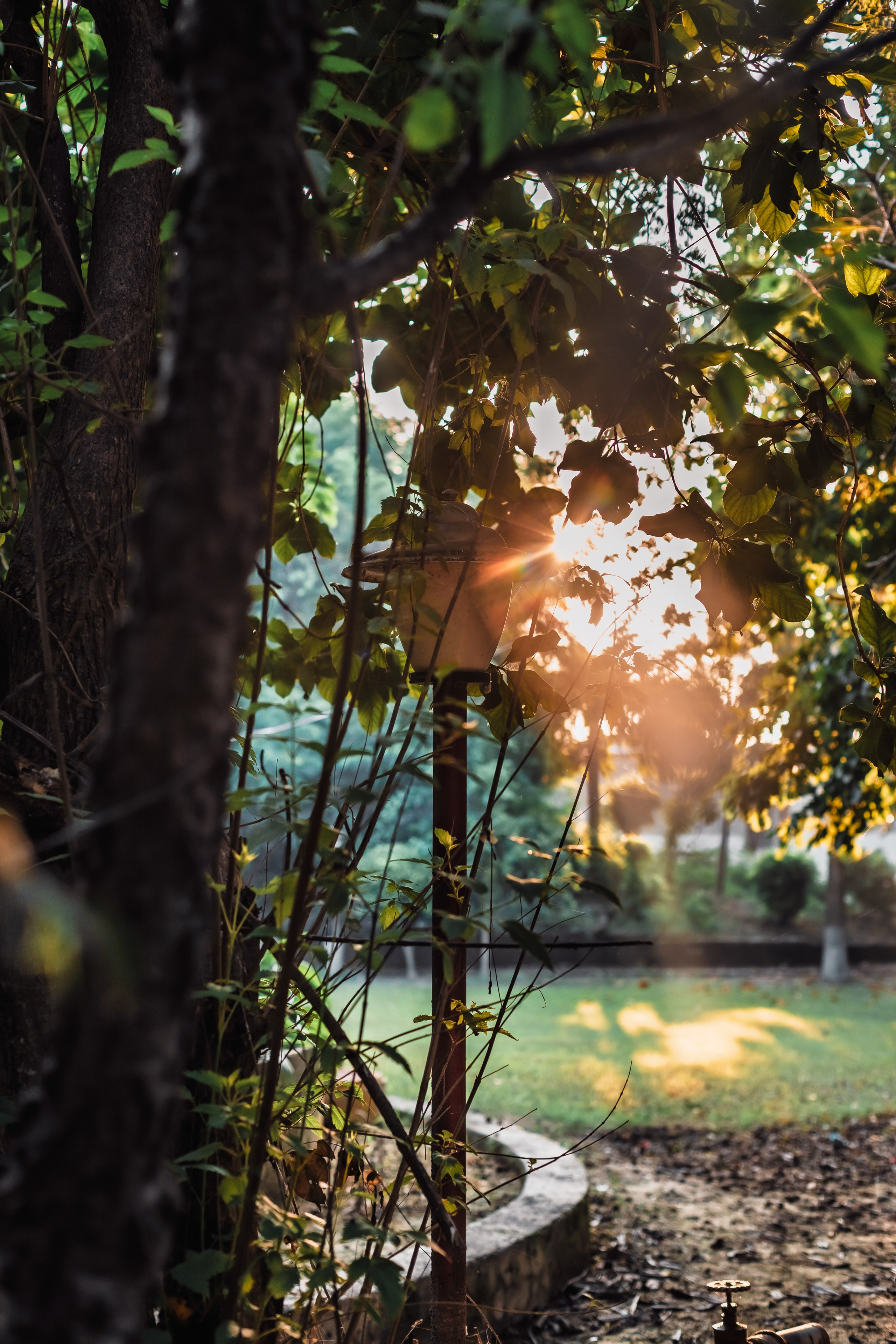 Devraha baba ji ashram life 2025. Mariam Bagdasaryan