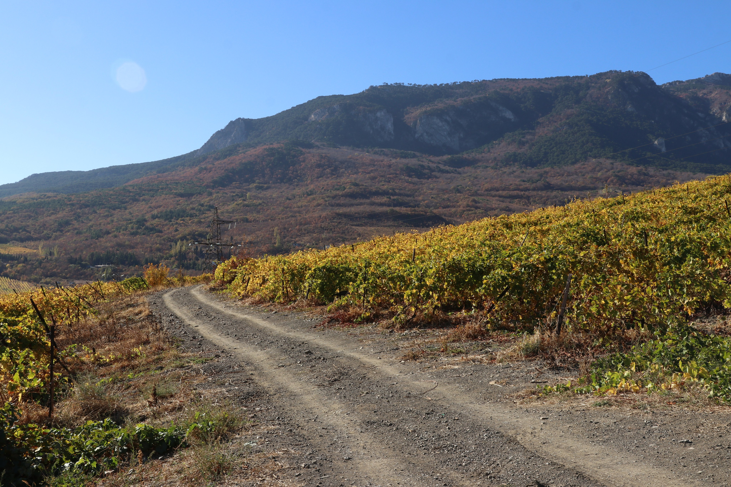 Крым. ЮБК (Гурзуф, Судак и их окрестности). Ноябрь 2023. Путешественник-фотограф из Санкт-Петербурга Татьяна Свистулина