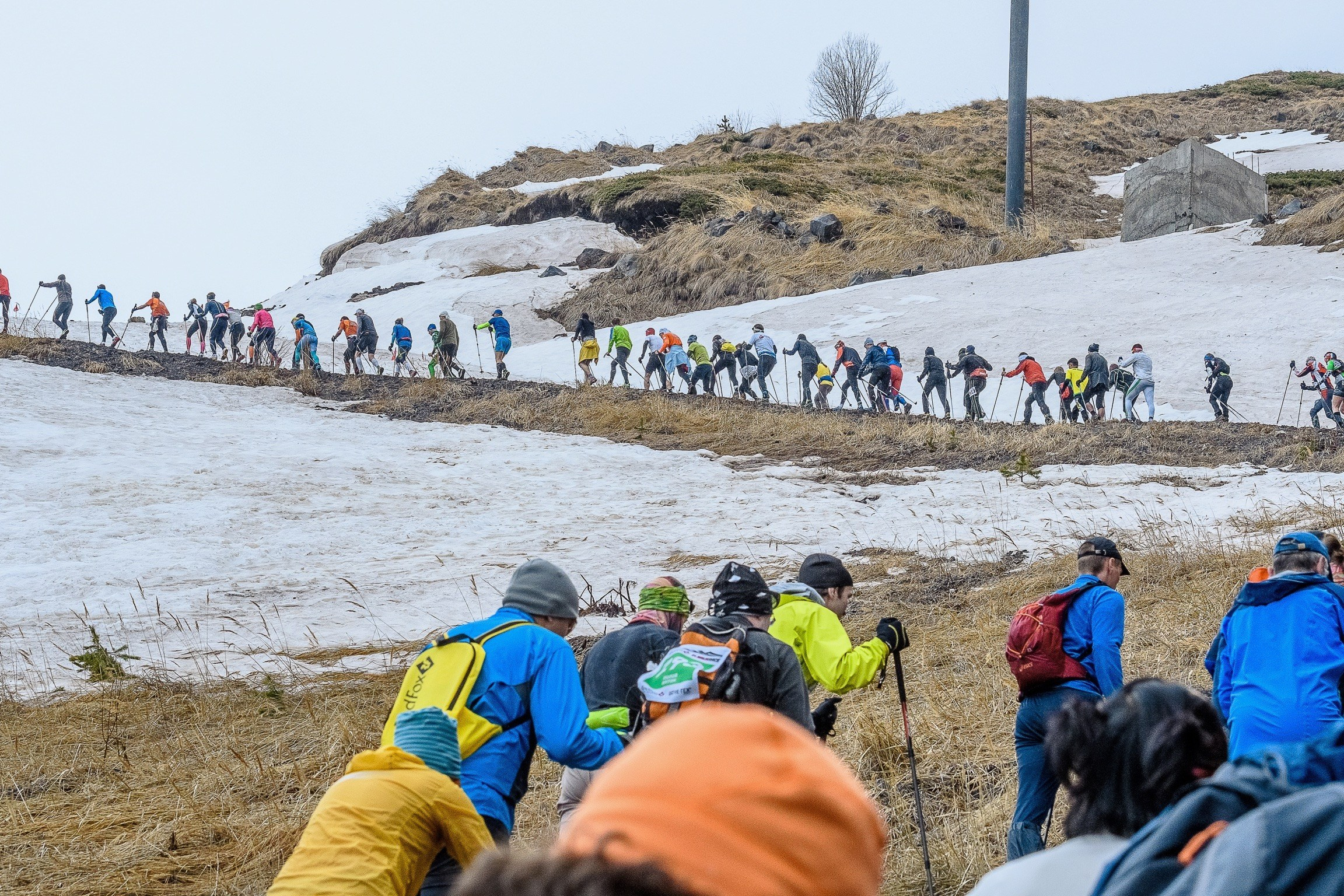 Спортивный фотограф. Спортивный репортаж. Фотограф Курманаева Ирина