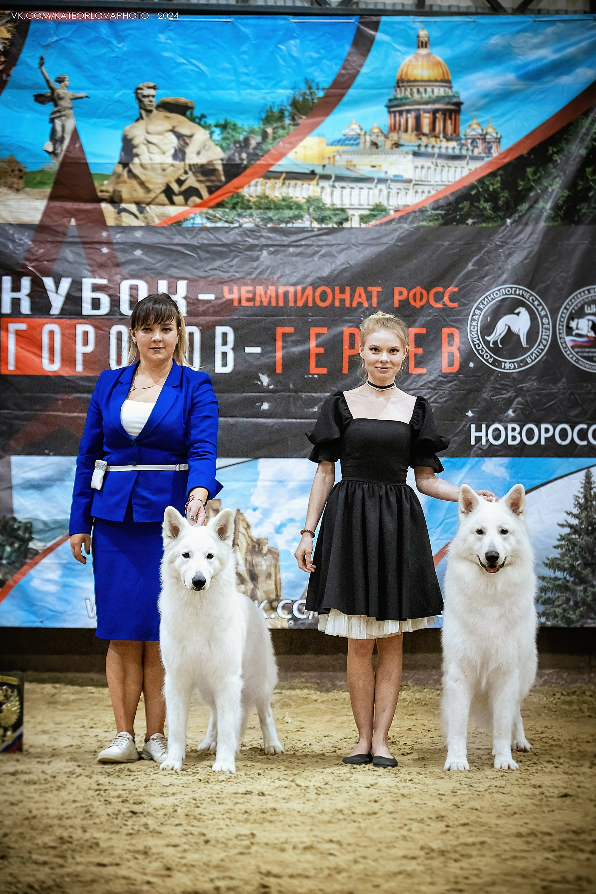 Фотосъемка собак, щенков, на выставках, фотограф анималист Россия воронеж. Питомник собак Акита, Хаски, Корги