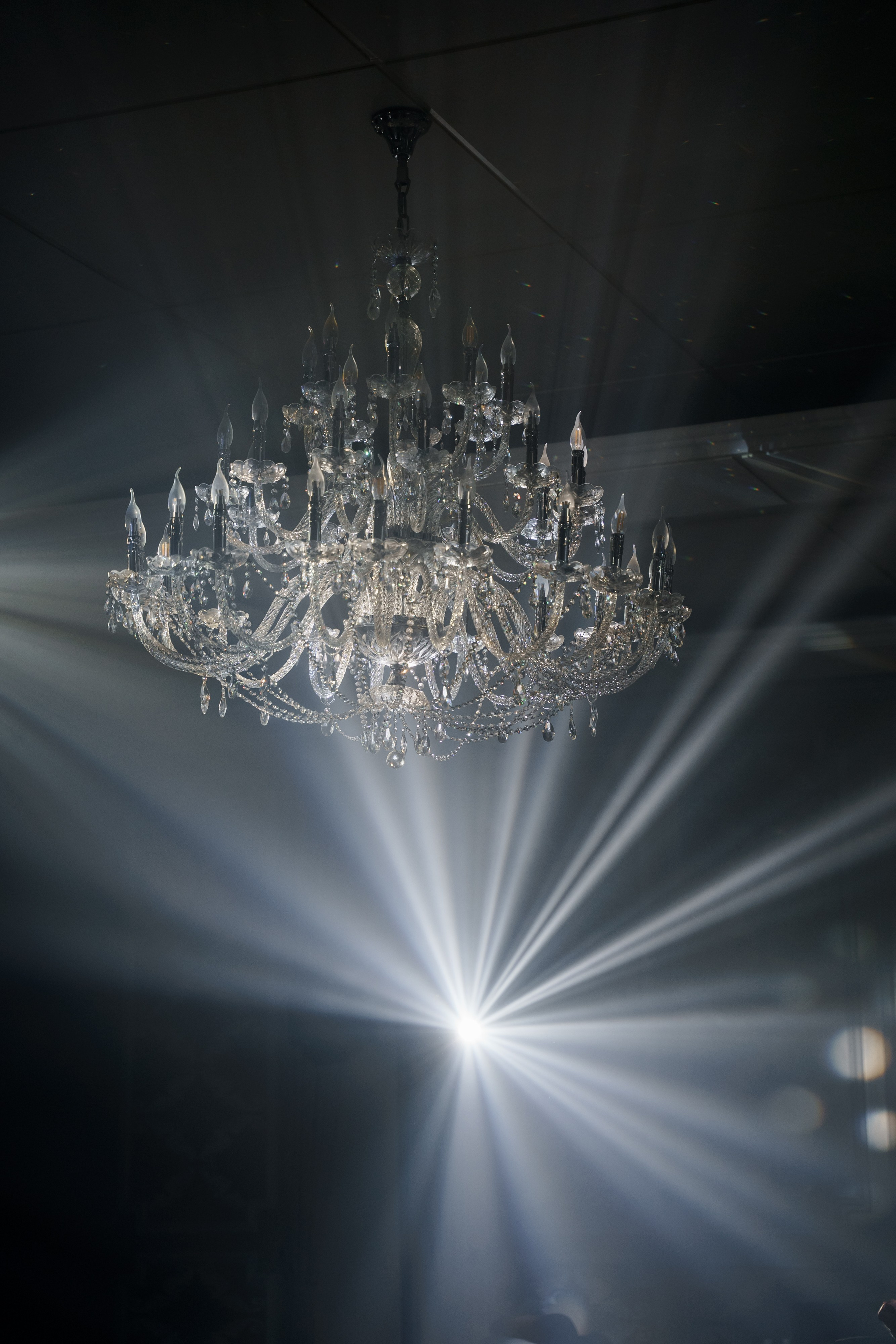 Свадебный фотограф в Краснодаре