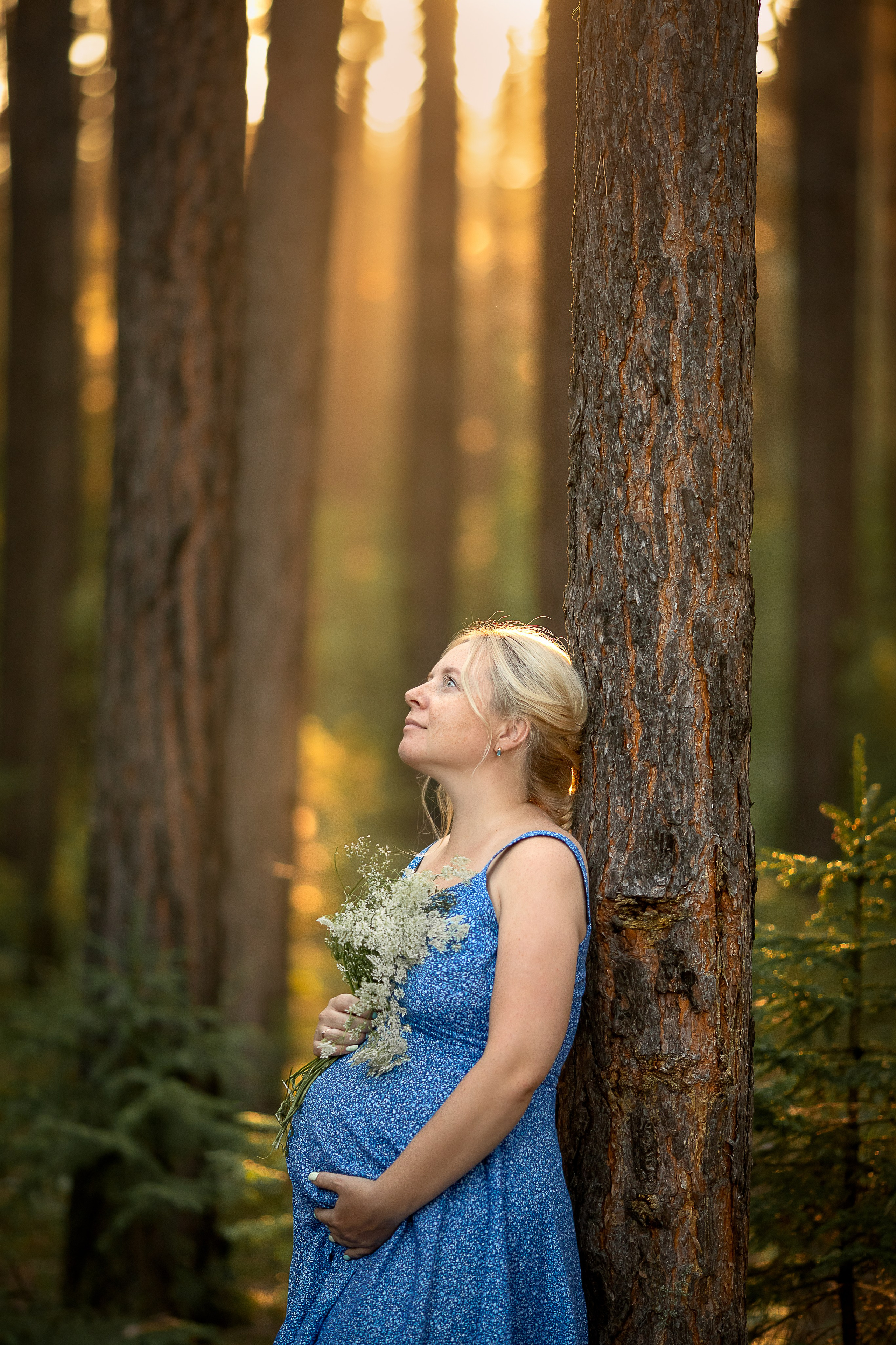 Солнце сквозь сосны-великаны. Детский и семейный фотограф в Красноярске Елена Коровкина