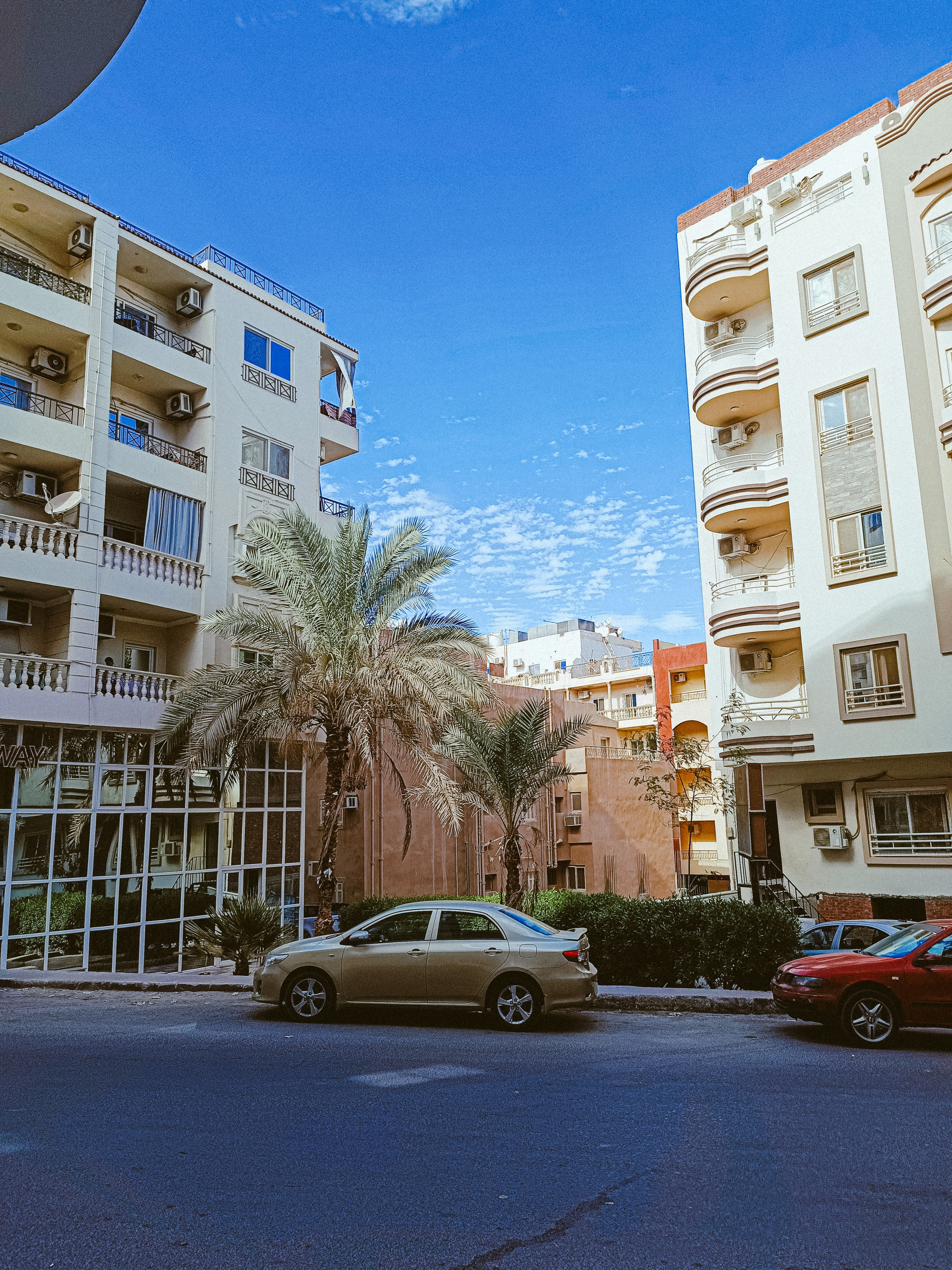 Мобильная. Jorgis — фотограф в Хургаде / обучение фотографии