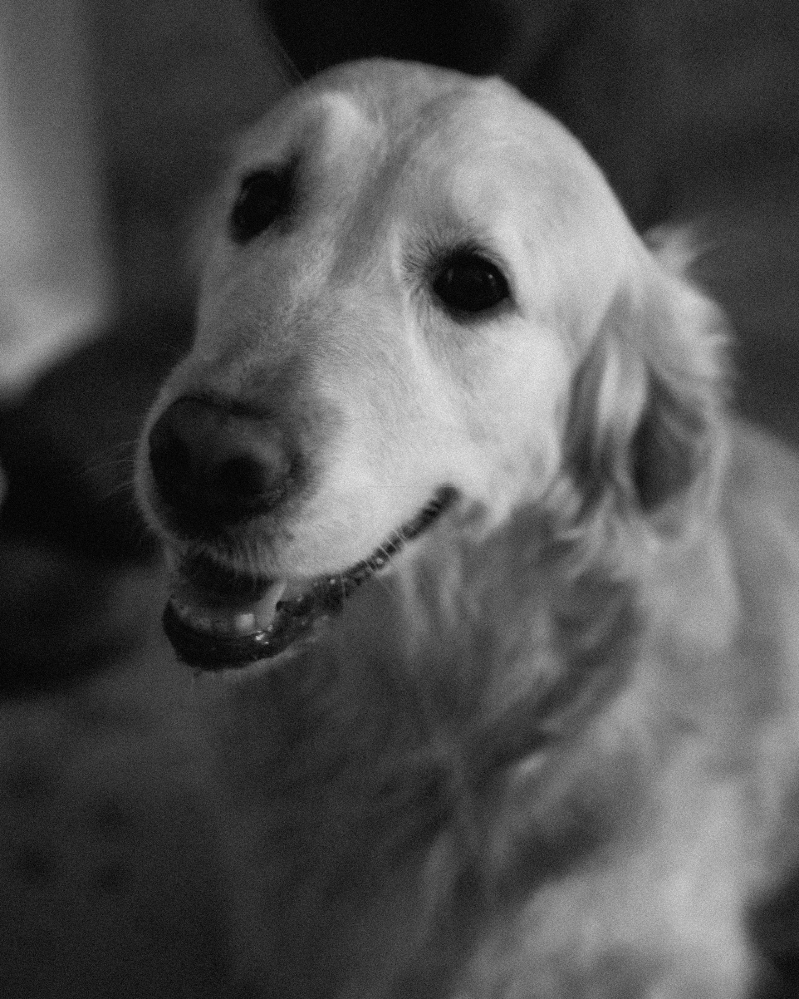 ЯНДЕКС ПОИСК. ANNA — PHOTOGRAPHER