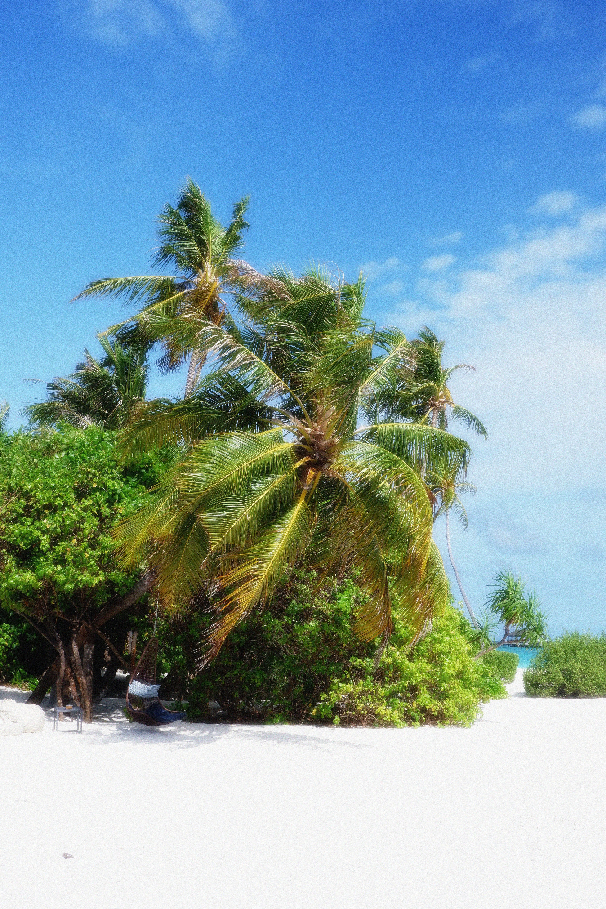 MALDIVES&BAHRAIN. ANNA — PHOTOGRAPHER