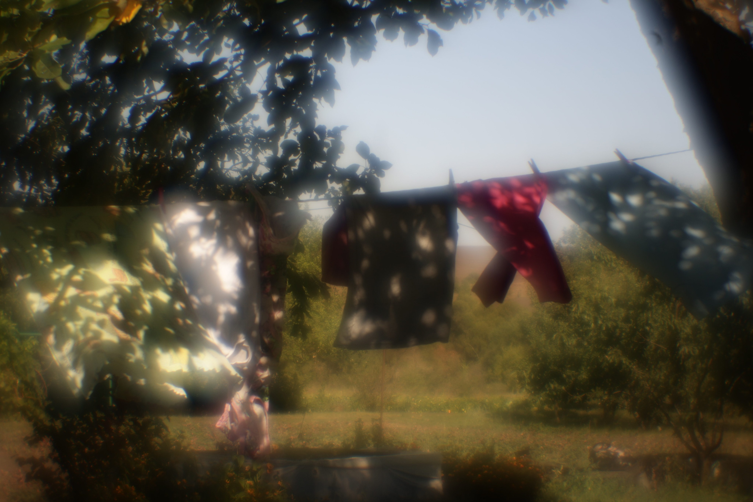 Деревенские зарисовки. Семейный LIFESTYLE фотограф в Москве