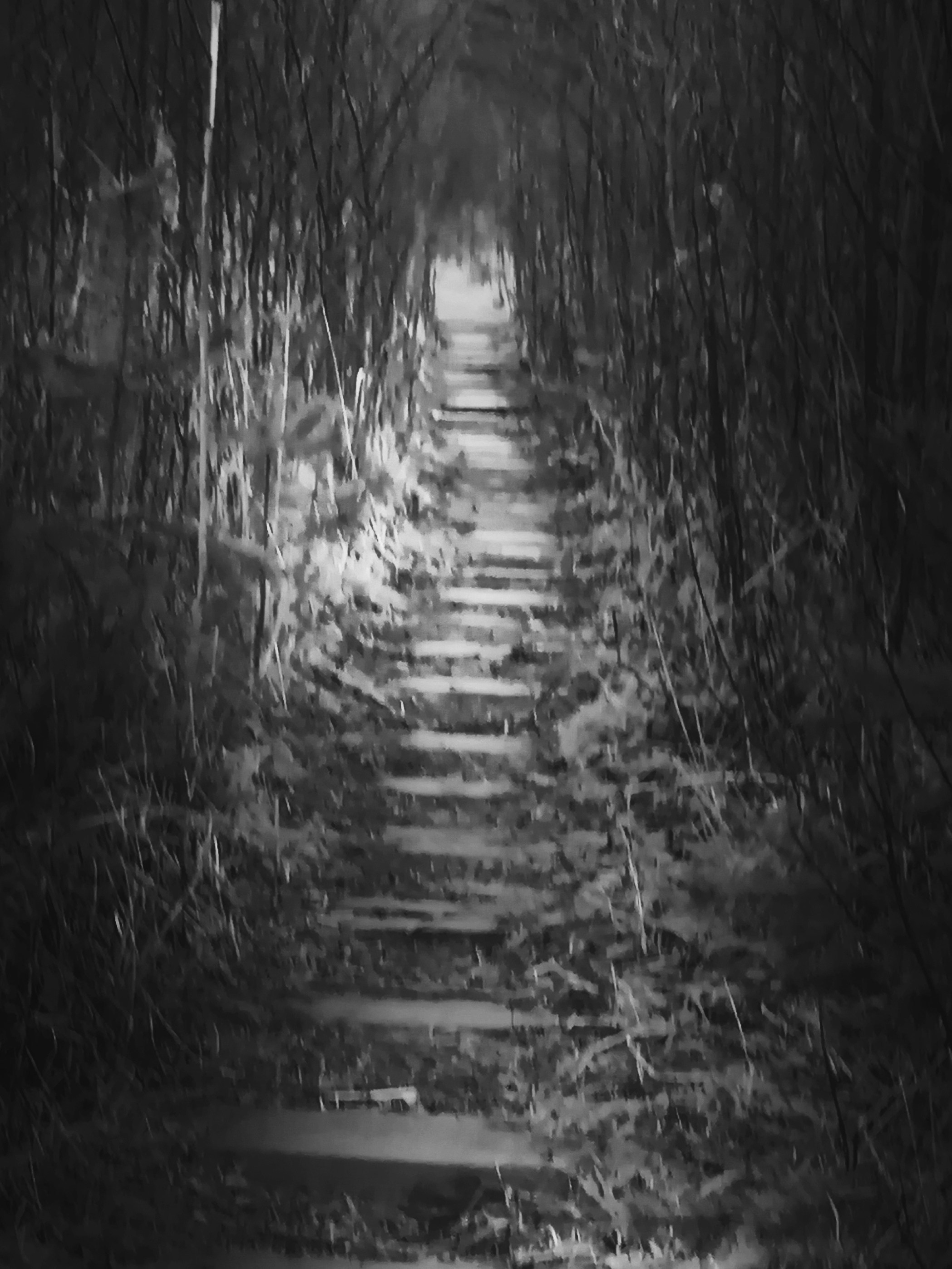 Anxiety. Главная