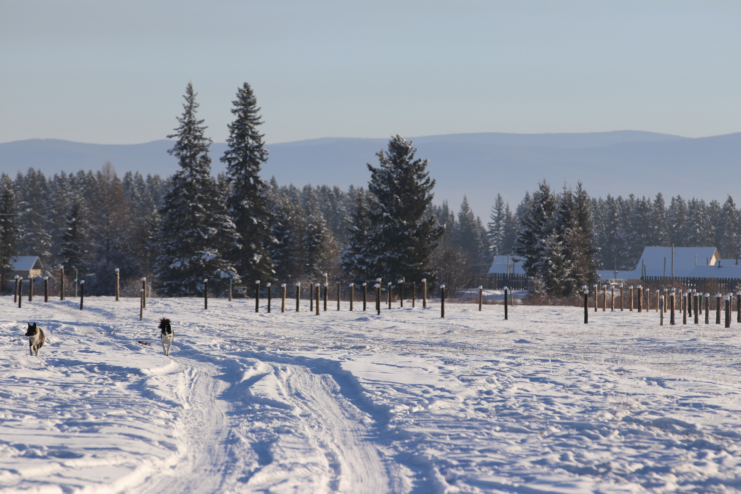 Аршан. Январь 2022. Путешественник-фотограф из Санкт-Петербурга Татьяна Свистулина