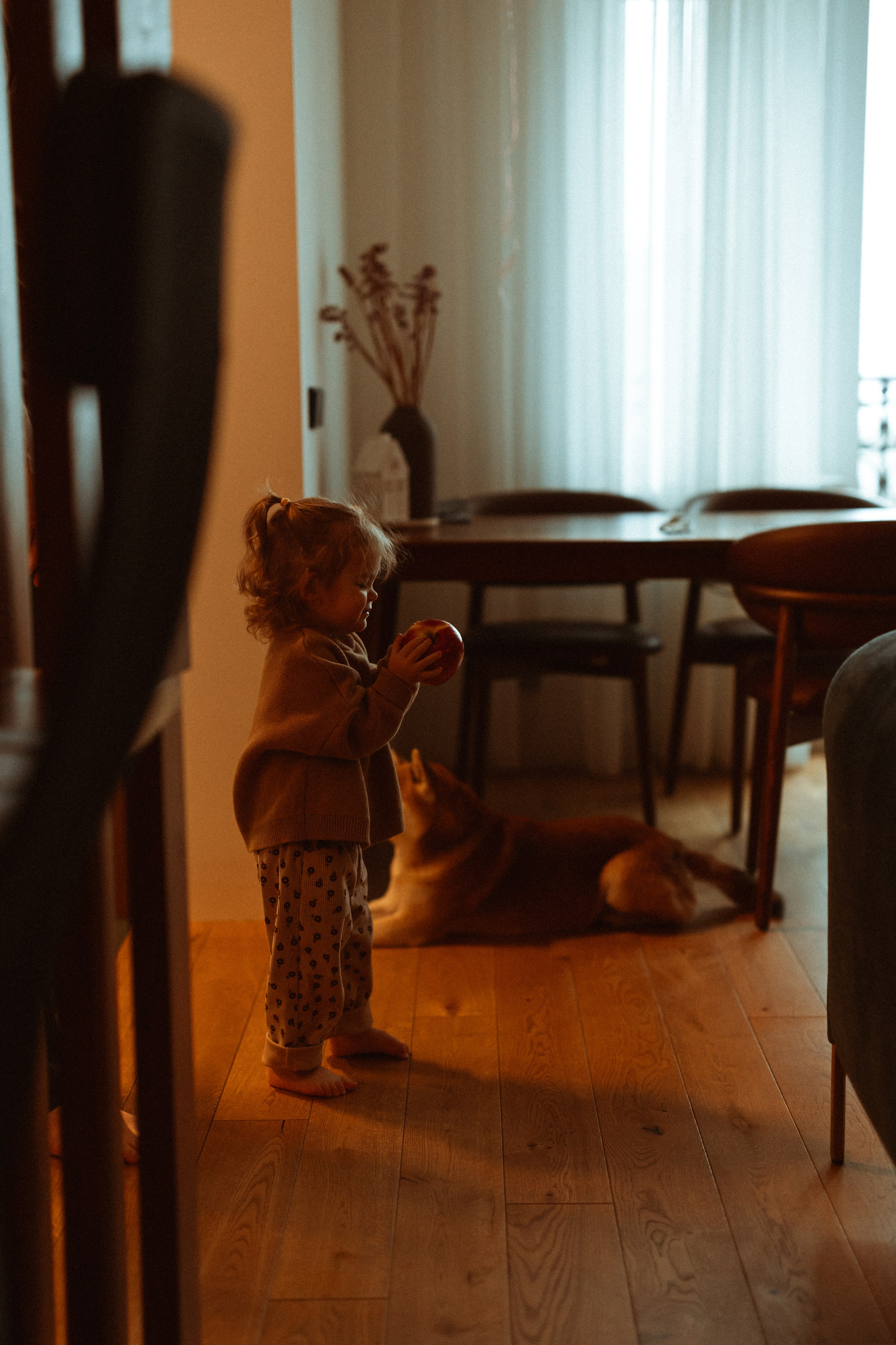 Новогодний переполох. Евгения Пелипас