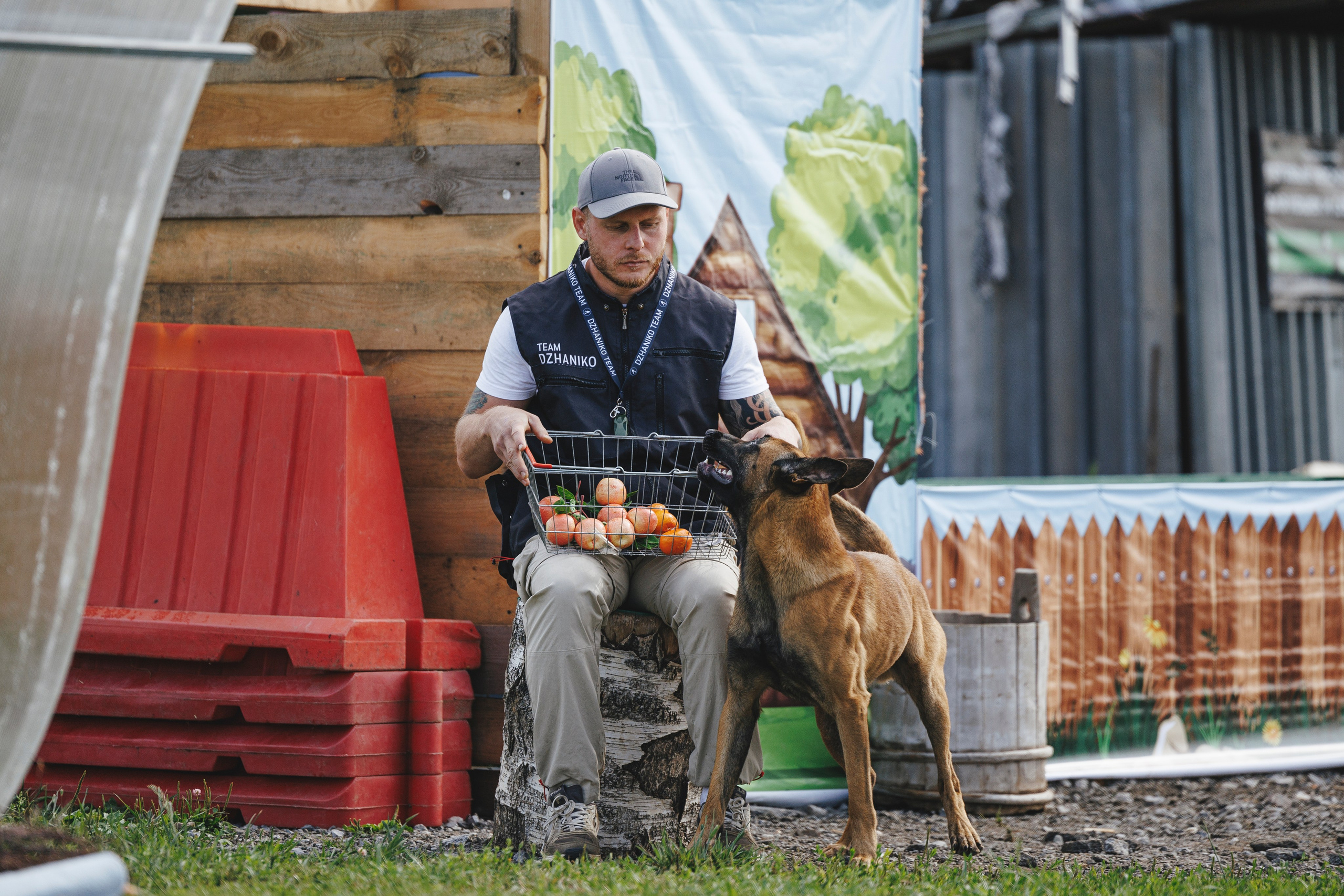 08.08.25-10.08.25 ЧР по мондьорингу г. Вологда. Фотограф-анималист Анна Маринич