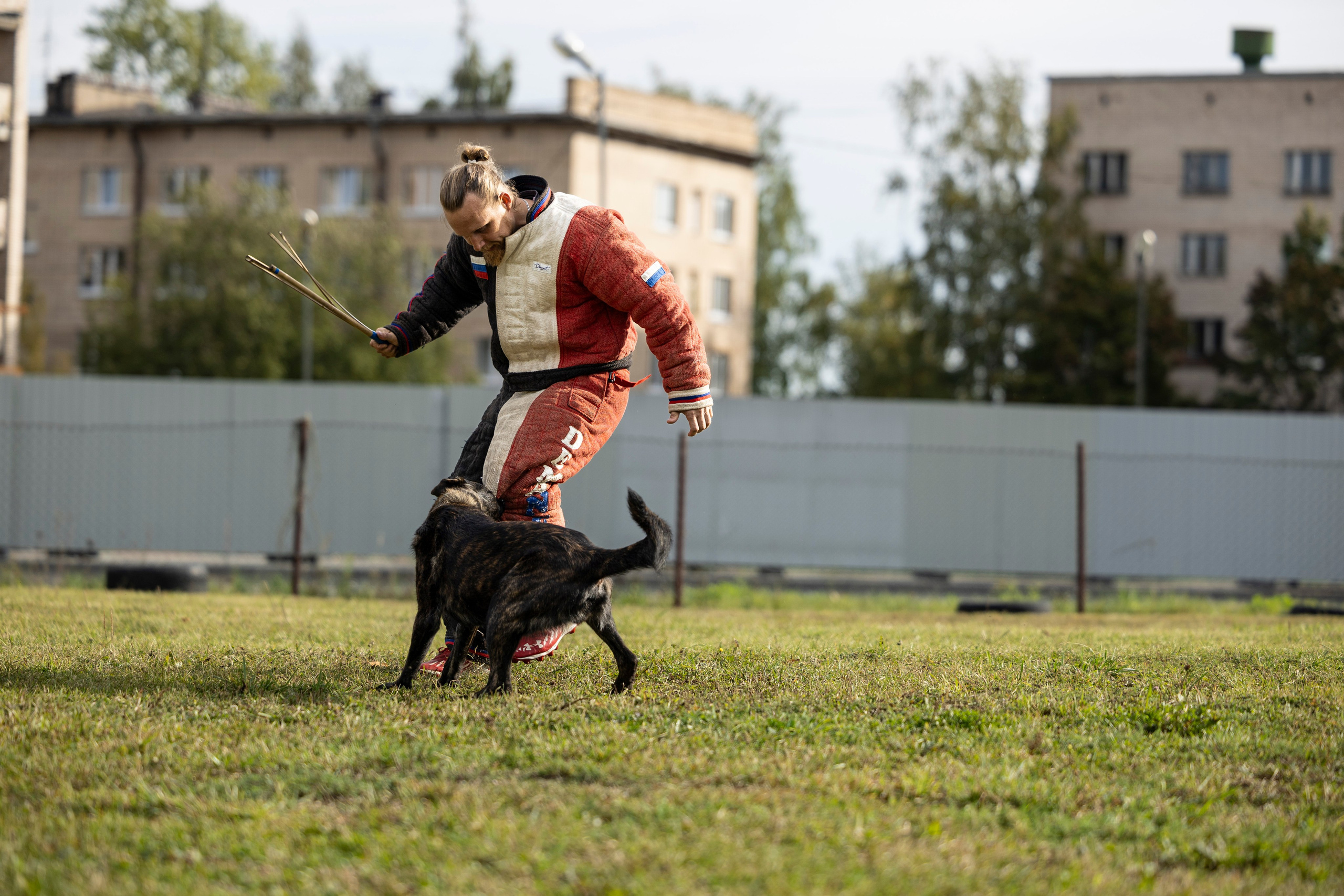 Испытания по Мондьорингу г. Пушкин. Фотограф-анималист Анна Маринич