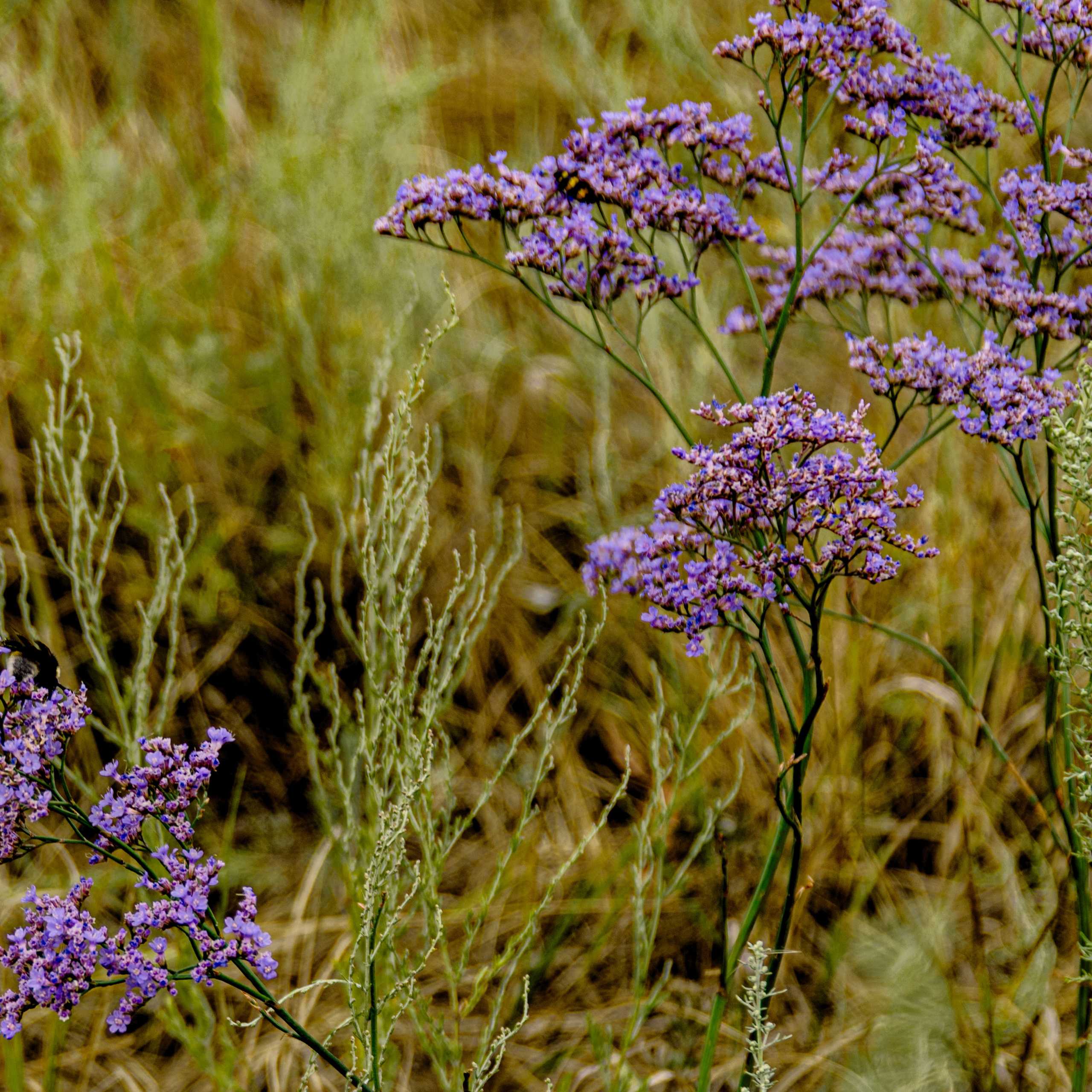 Природа Самарской области в кадре. Дикие степи, Жигулёвские горы и волжские просторы — авторские фотографии уникальных ландшафтов. Фотограф Самара — репортажная, свадебная, интерьерная съёмка от Ильи Петрова, профессионала своего дела