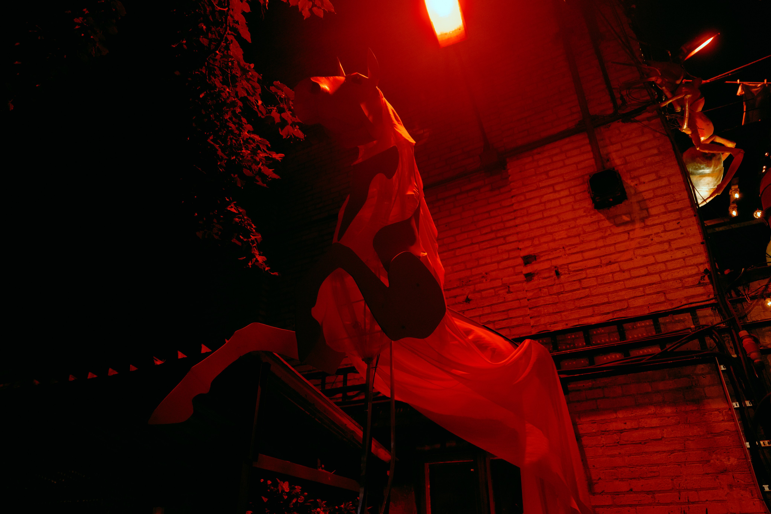 ARMA. @tomrus: Рустам Шагиморданов — фотограф