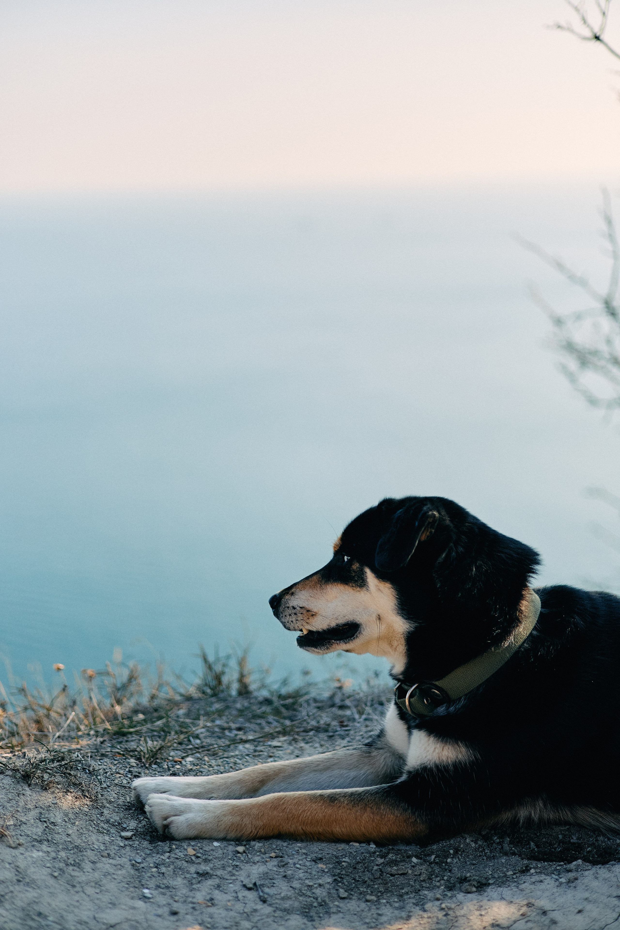 Юг России. Профессиональный Фотограф во Владимире, в Москве и в Суздале — Полина Романычева