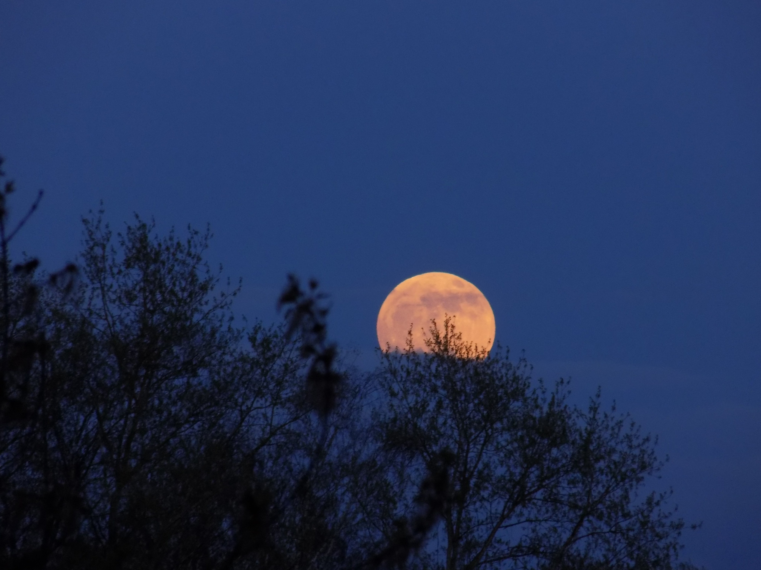 Фотограф Анастасия Клинова. Тверь