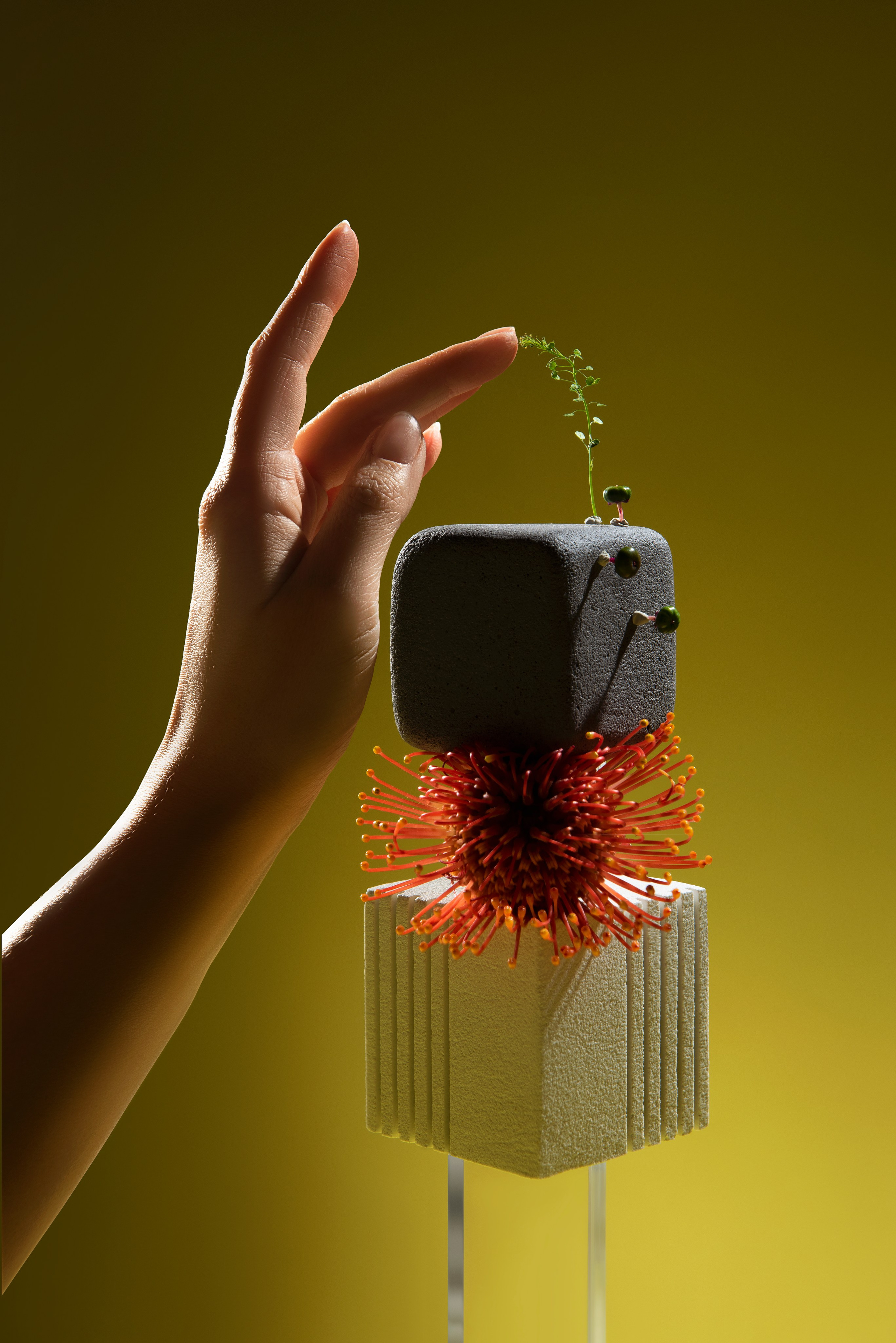 Личные проекты. Предметная фотография