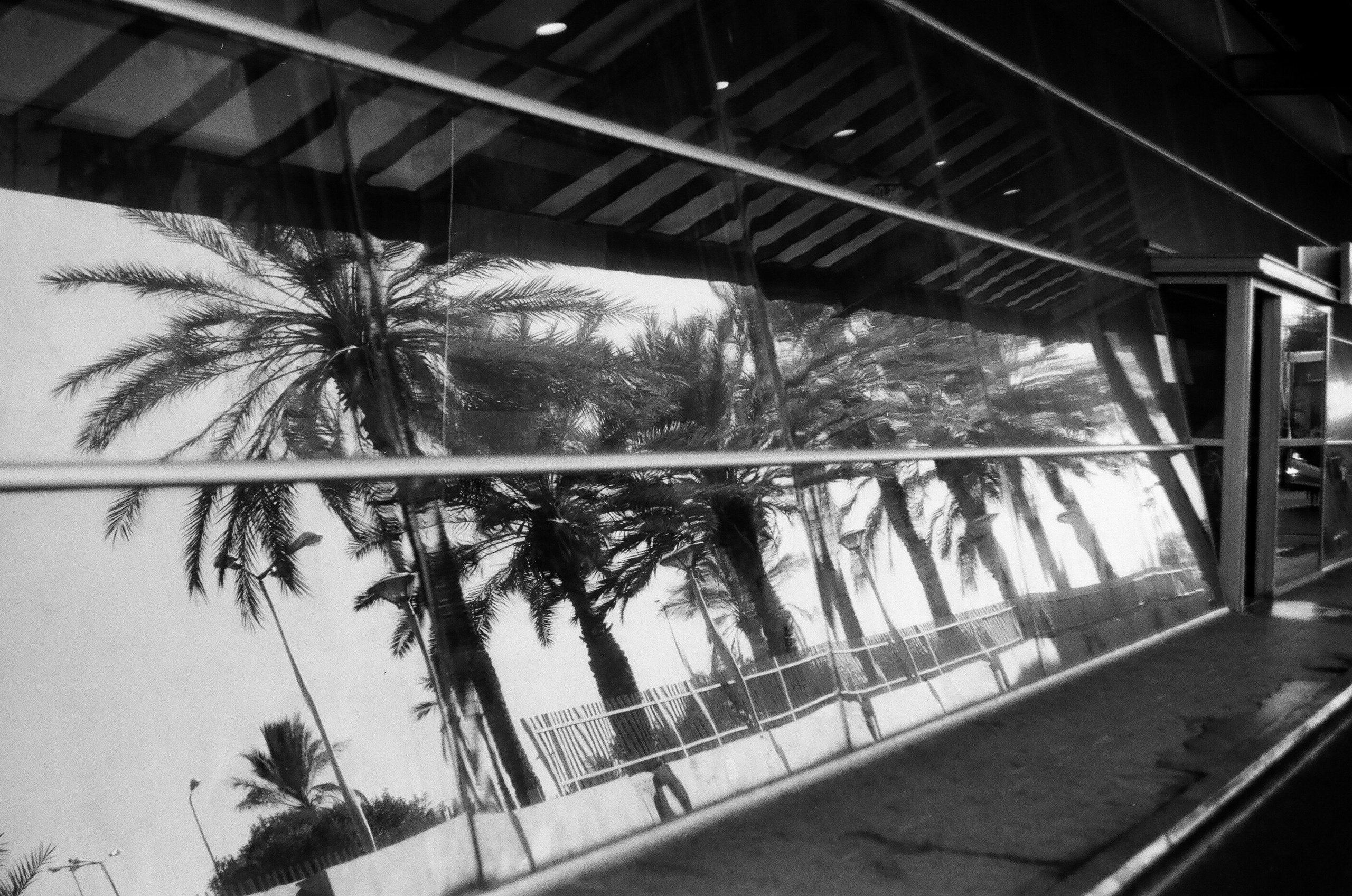 Israel 2025. Свадебный и портретный фотограф в Санкт-Петербурге