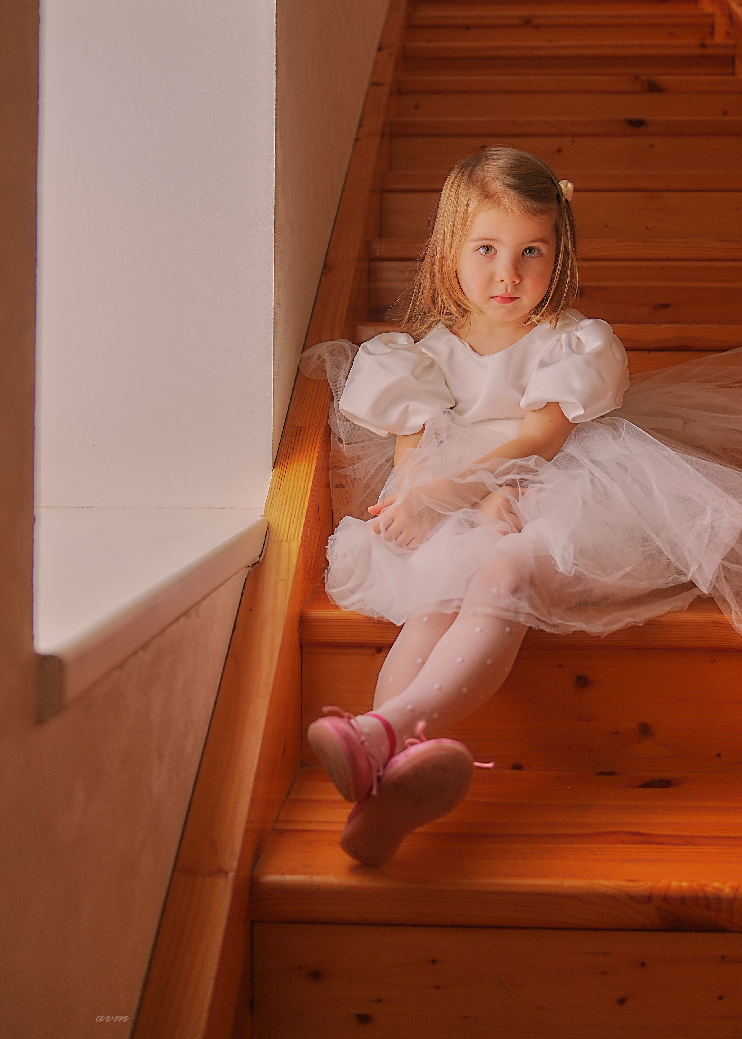 Новый год 2026. Фотограф Михеев Андрей