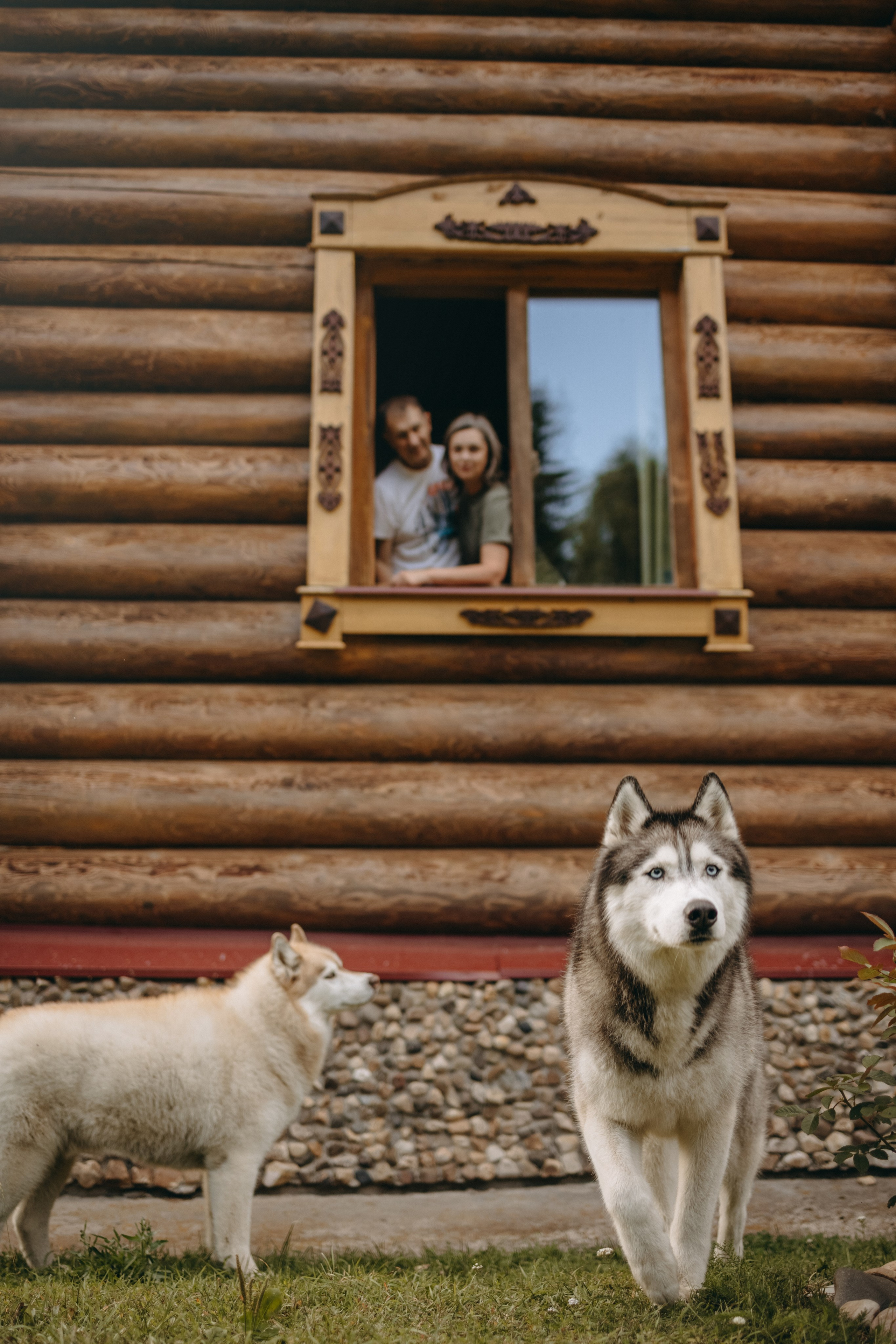 Дом у реки. Фотограф — Анималист | Санкт-Петербург