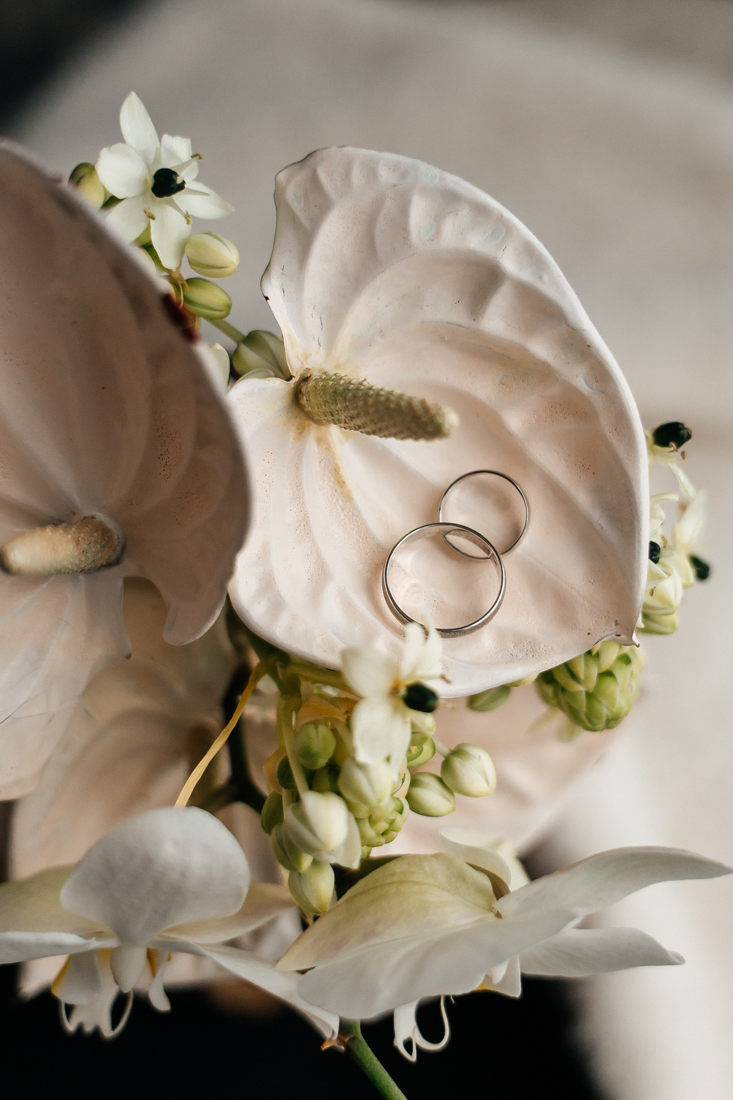 Полина и Влад