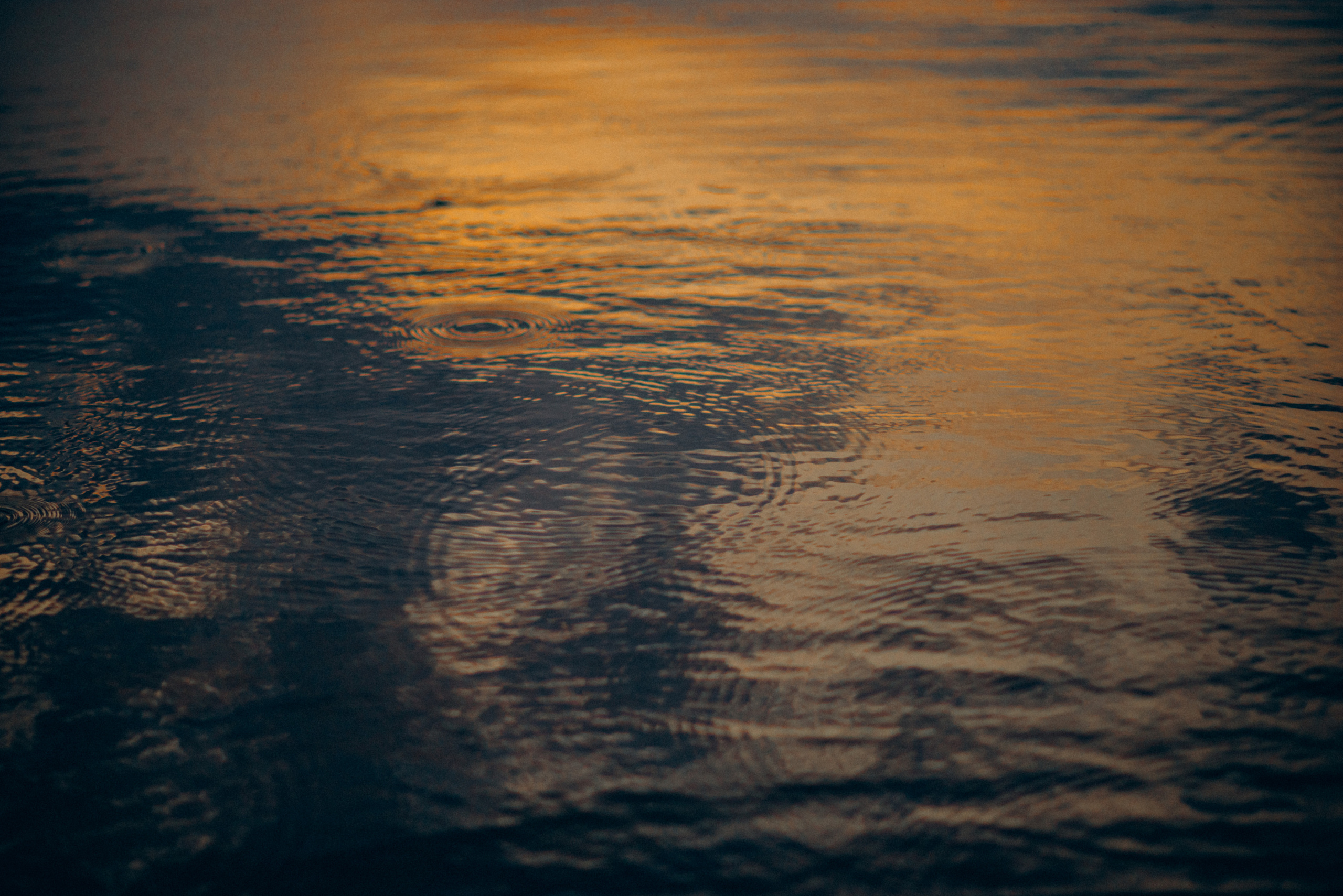 Стася. Фотограф Катерина Оляпка в Перми