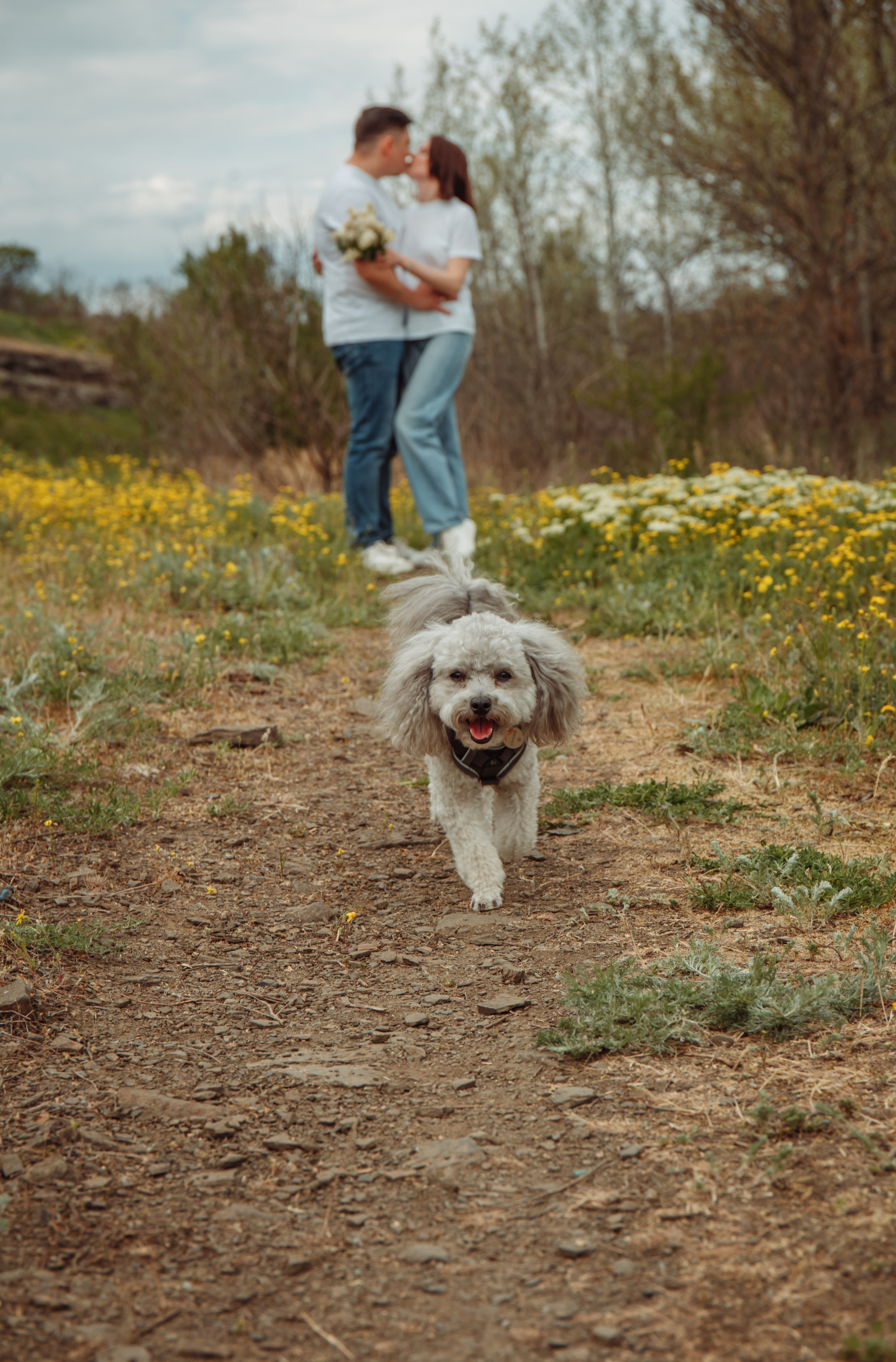 Семейные фото. Семейный фотограф из Новошахтинска Антонина Змиенко