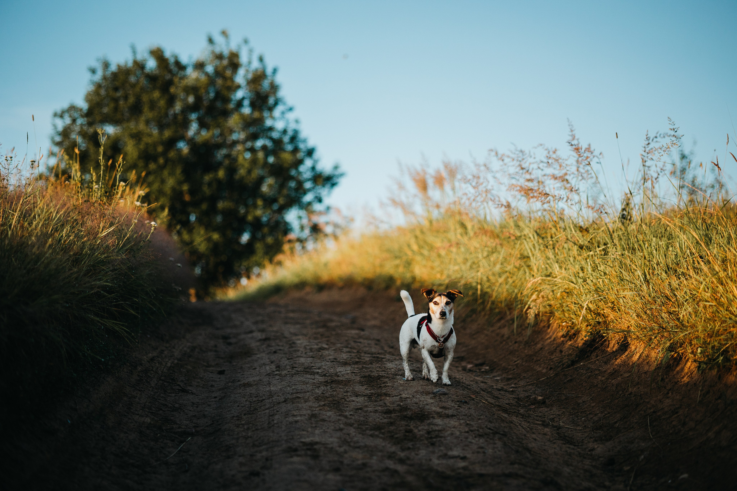 Маша и Персик. Фотограф — Анималист | Санкт-Петербург