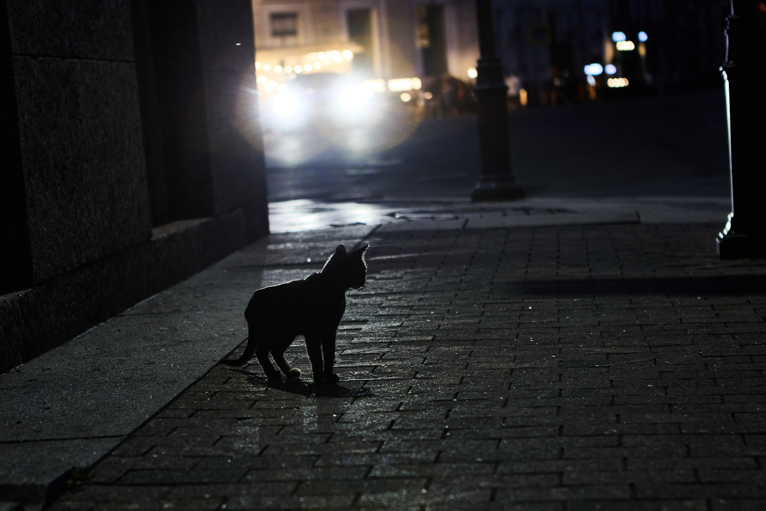 Зарисовки из поездки в Санкт-Петербург. Фотограф Антонина Гудкова