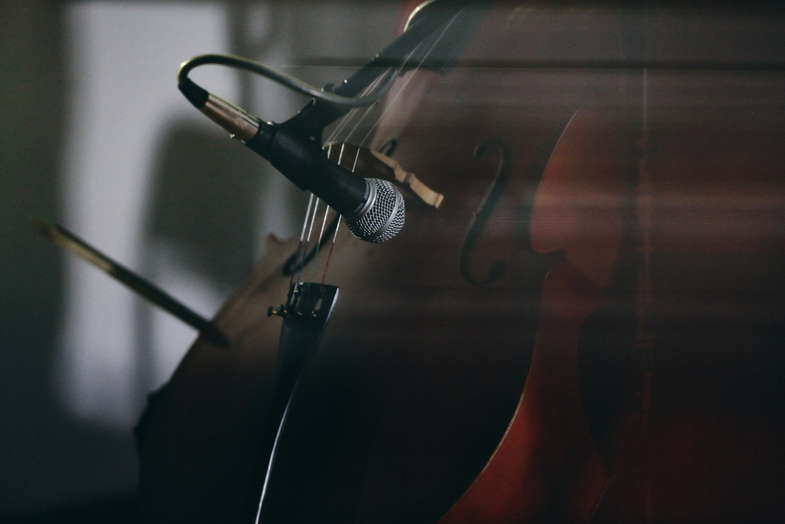 Сотворчество Даждь. Фотограф Антонина Гудкова